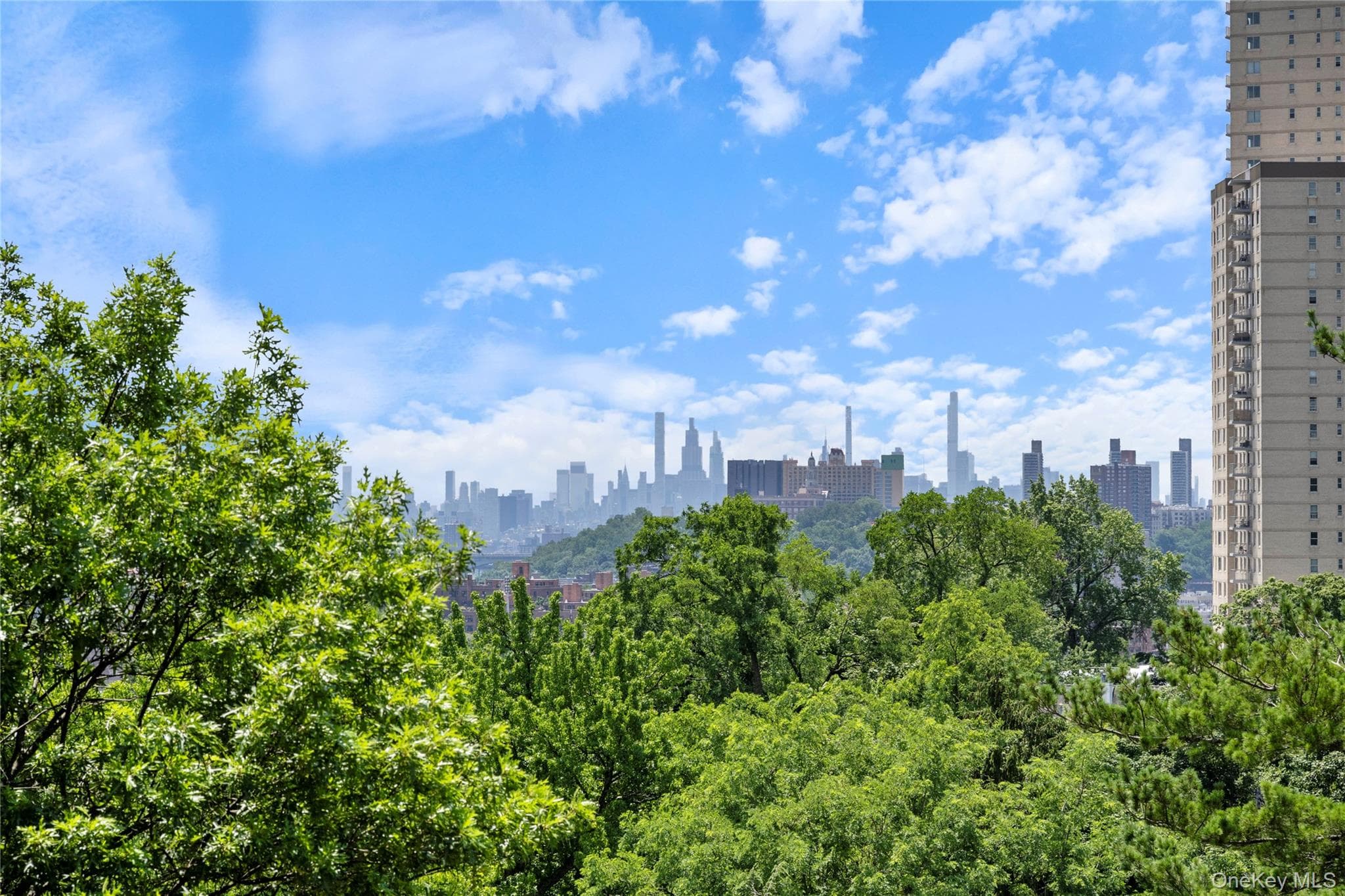 3135 Johnson Avenue Unit: 11C thumbnail 11
