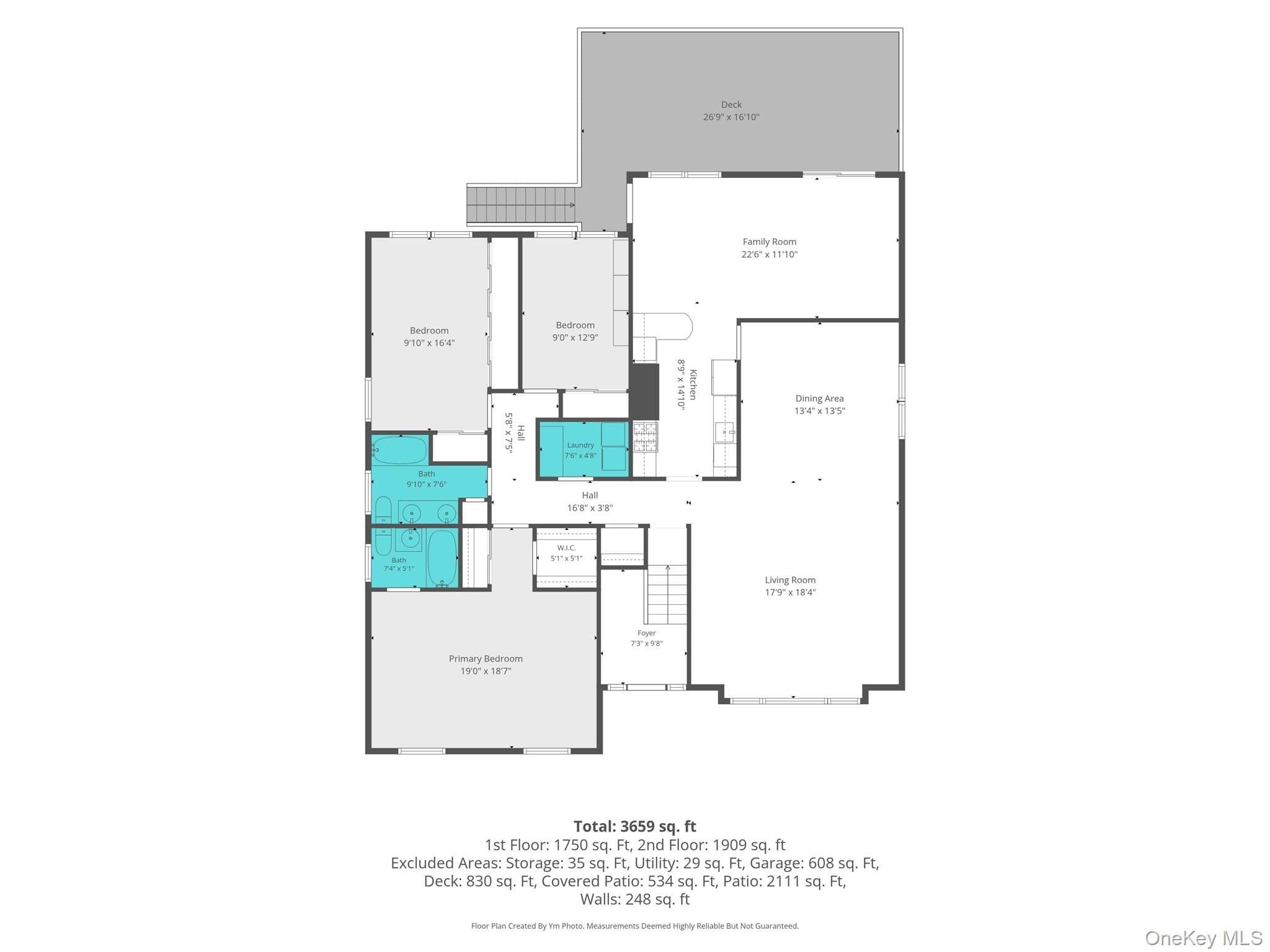 240 Pearl Street thumbnail 12