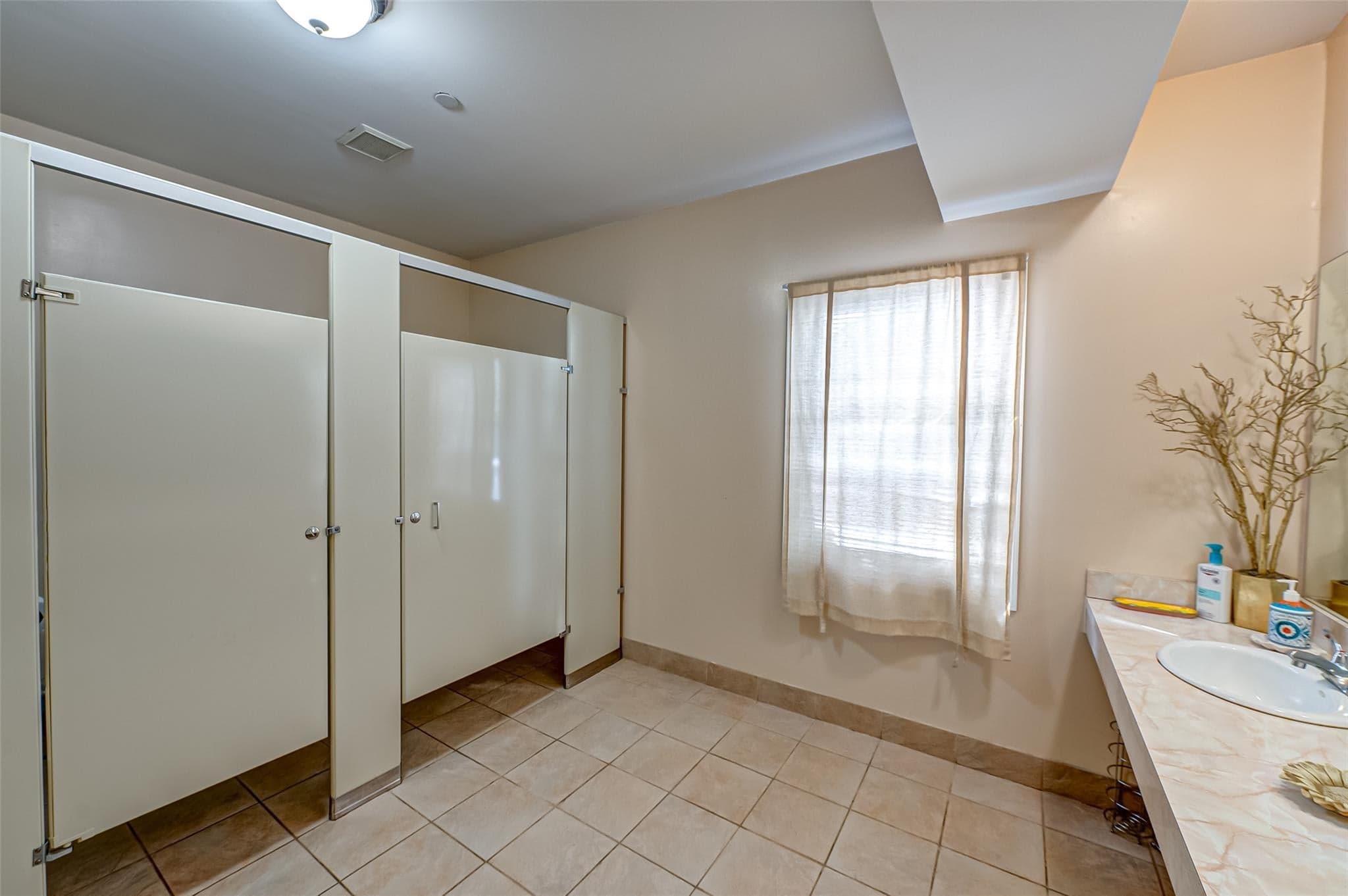 203 E Pulaski Road thumbnail 16