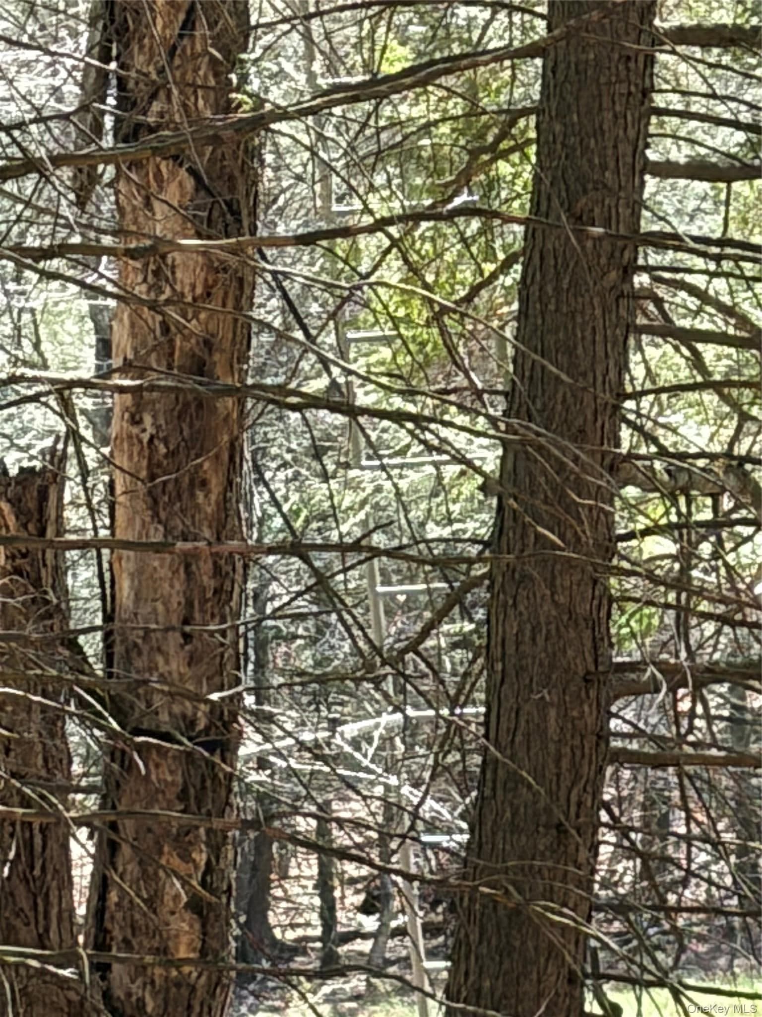 209 Stream Hollow Rd thumbnail 23