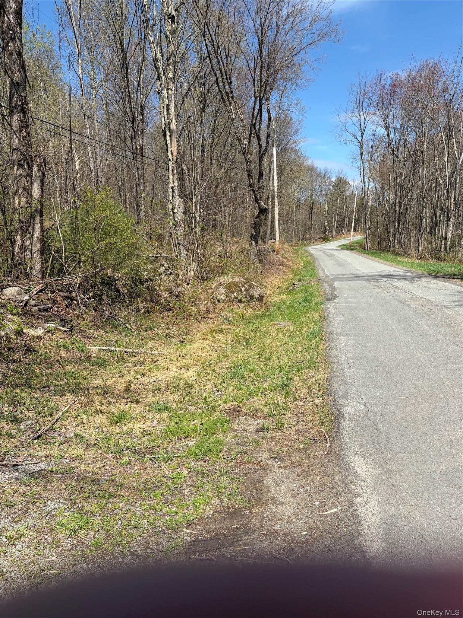 209 Stream Hollow Rd, Fallsburg