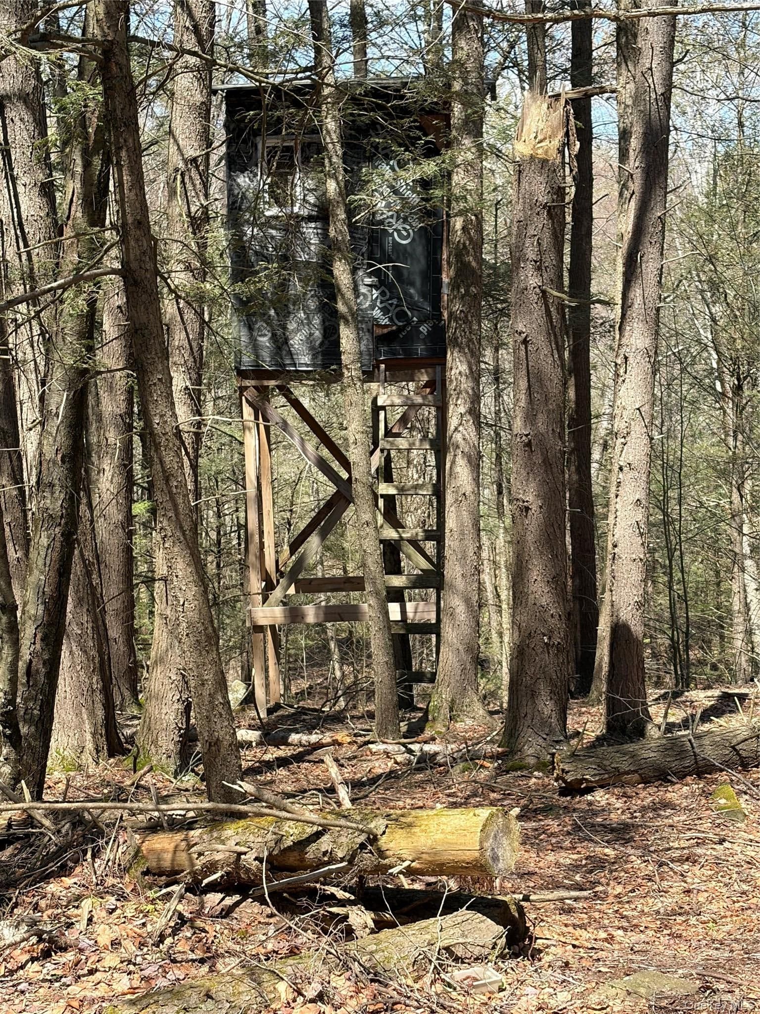 209 Stream Hollow Rd thumbnail 19