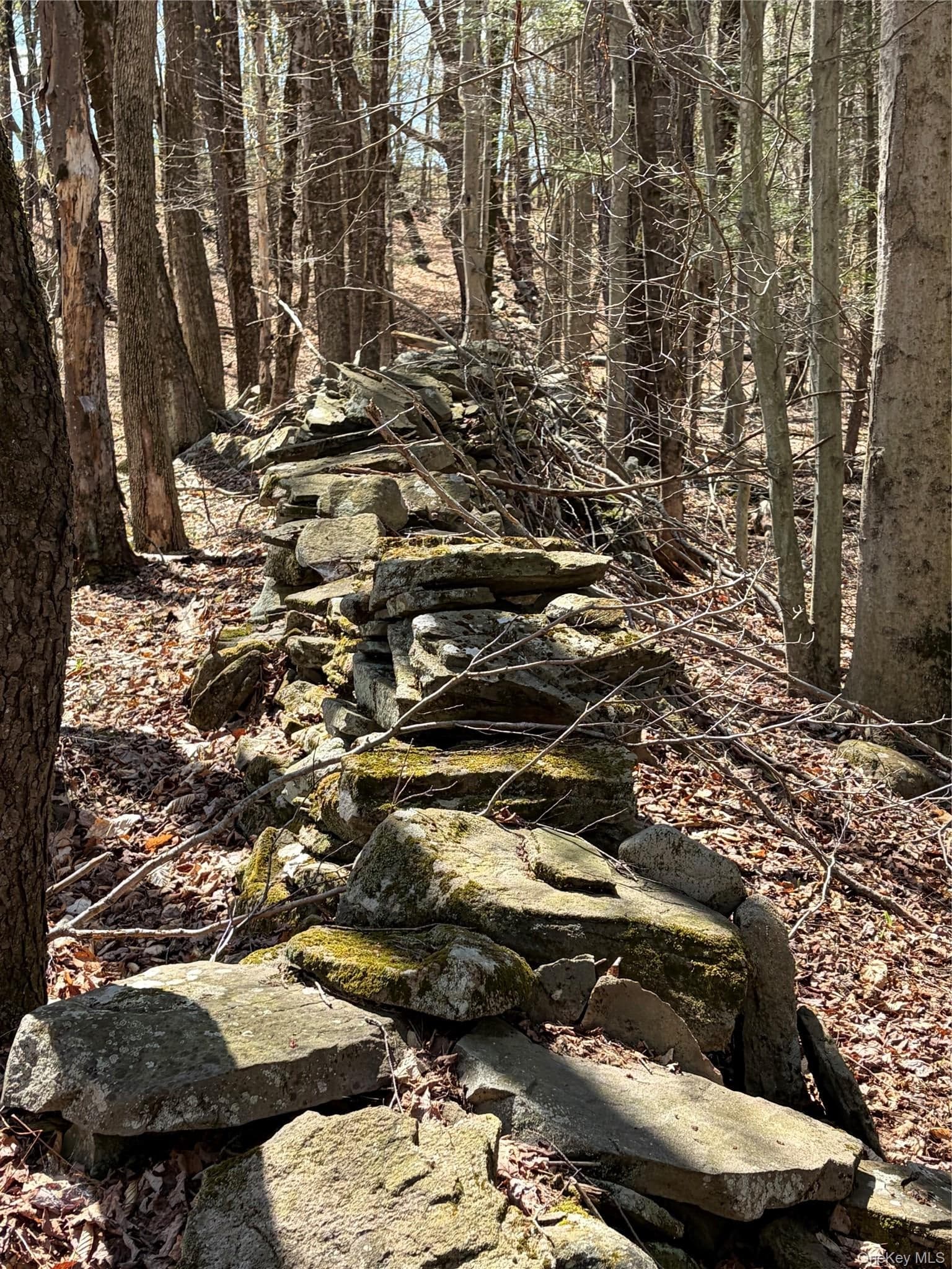 209 Stream Hollow Rd thumbnail 11