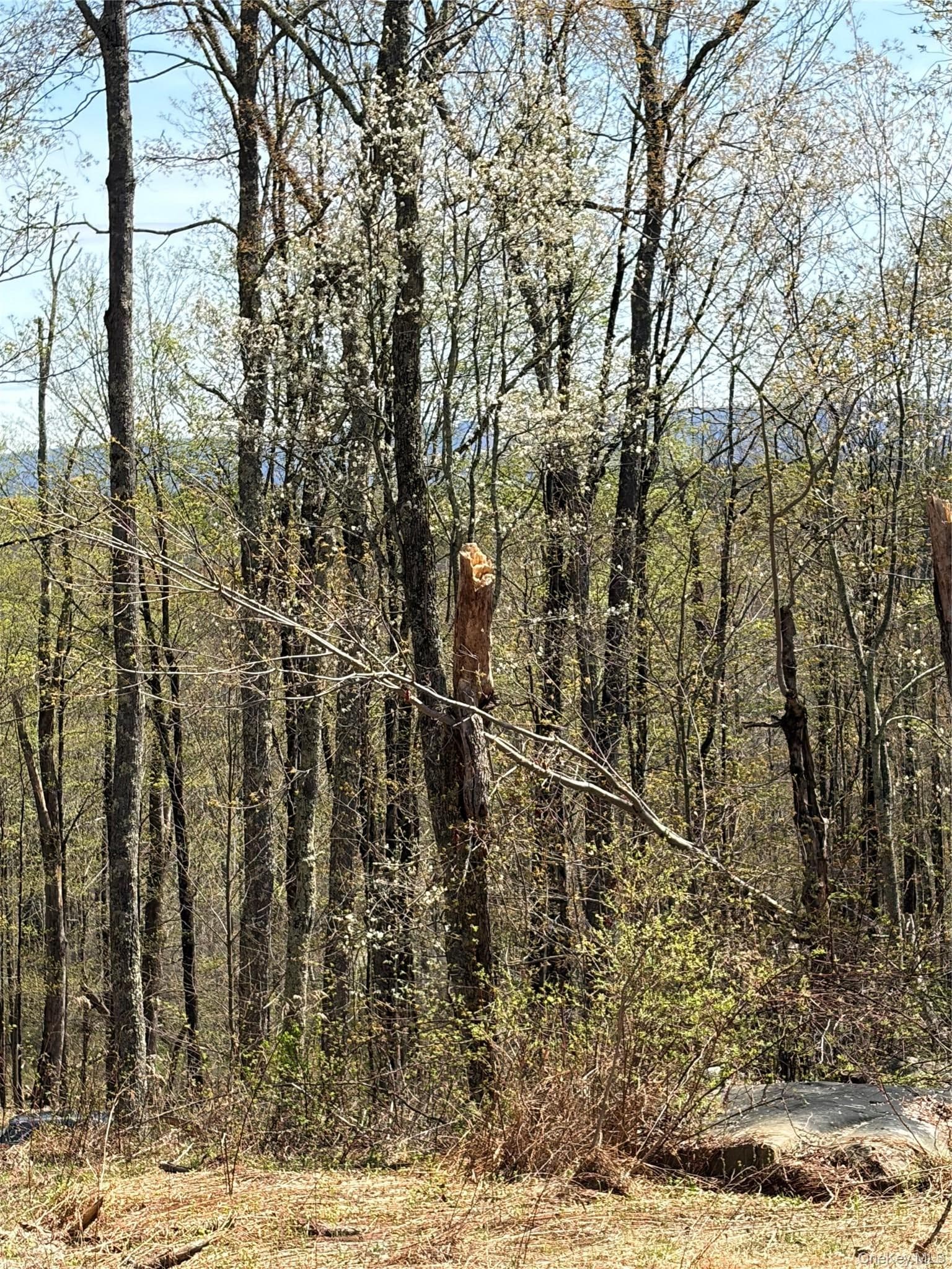 209 Stream Hollow Rd thumbnail 8