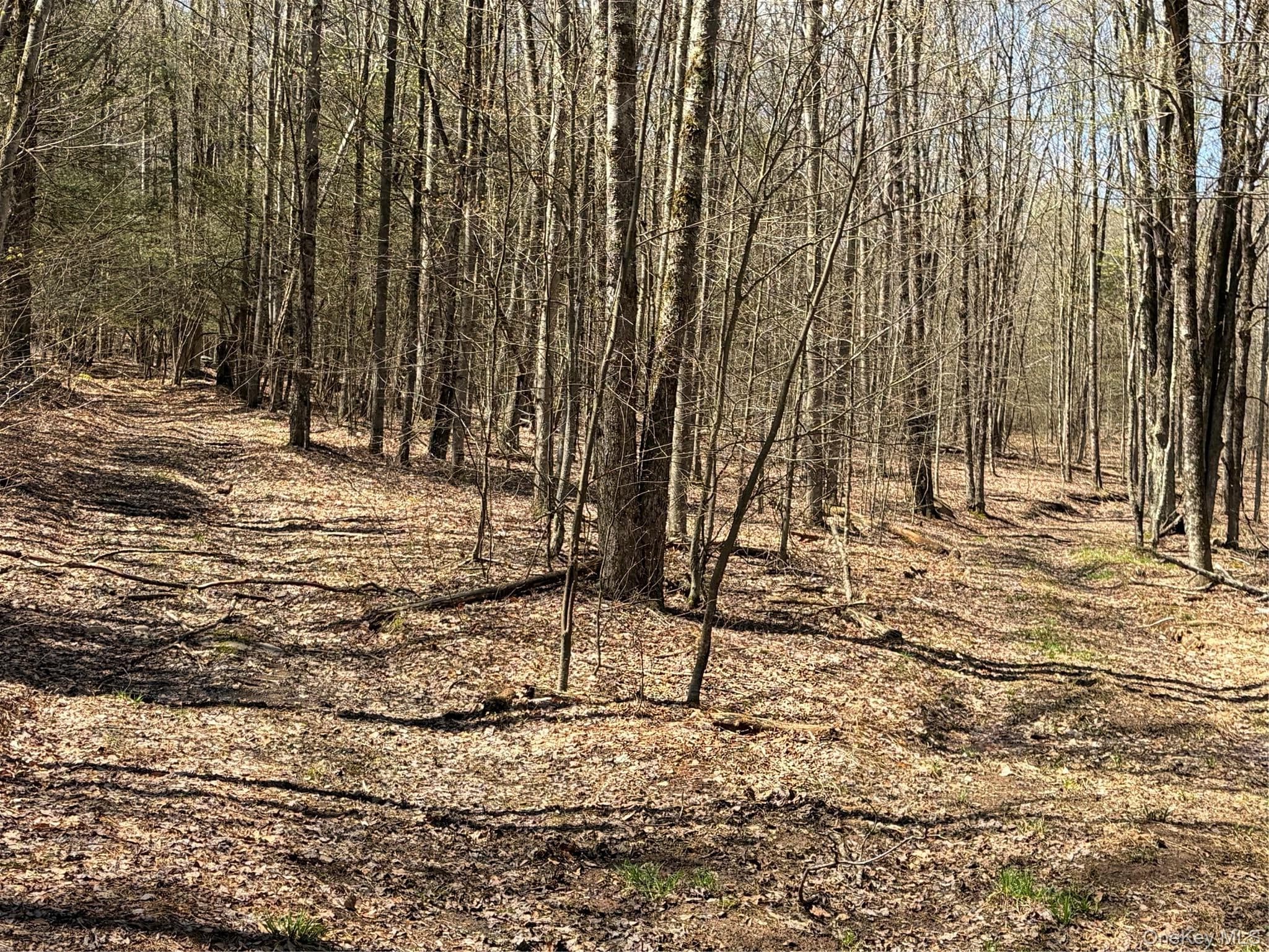 209 Stream Hollow Rd thumbnail 13