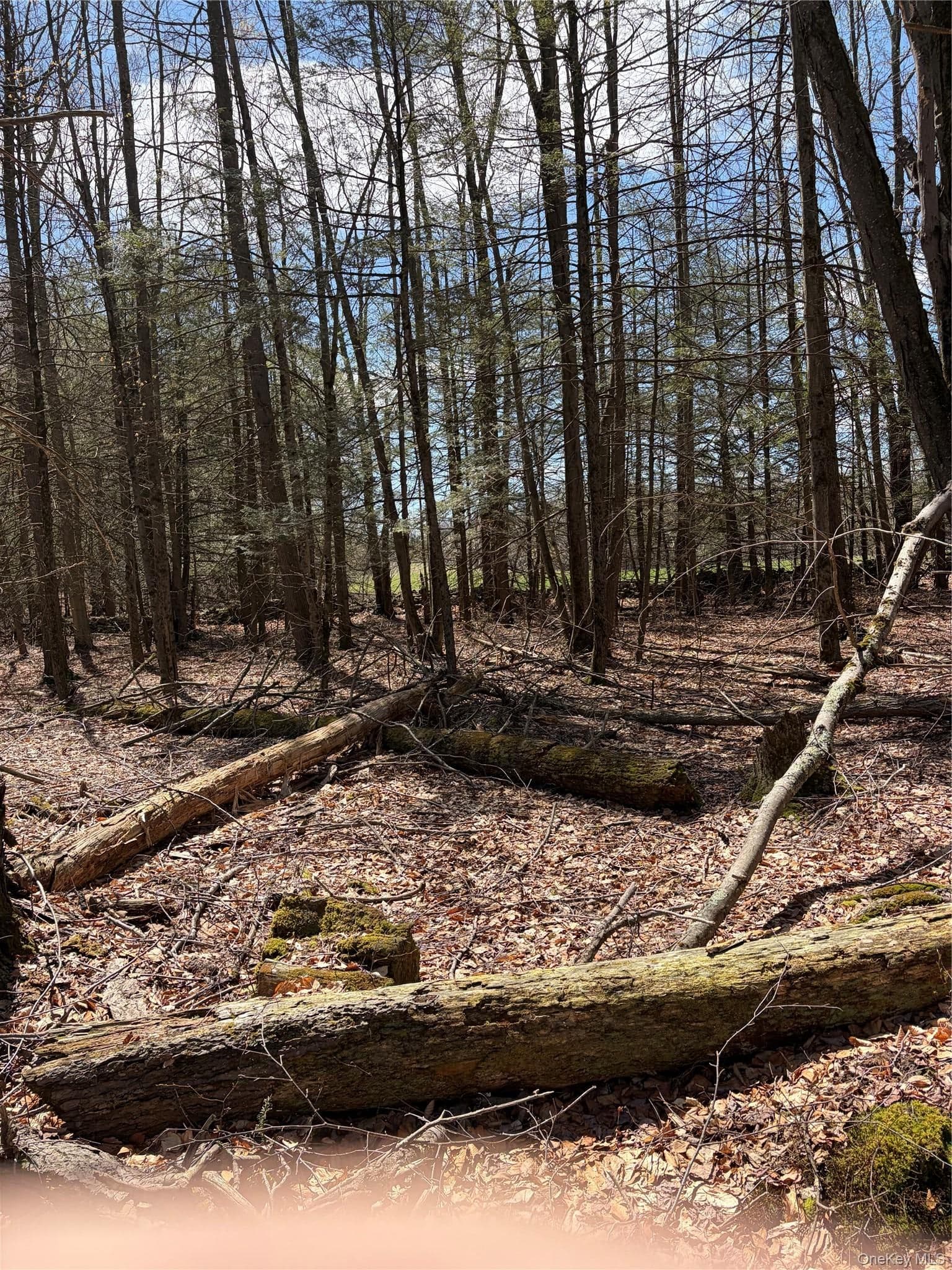 209 Stream Hollow Rd thumbnail 18