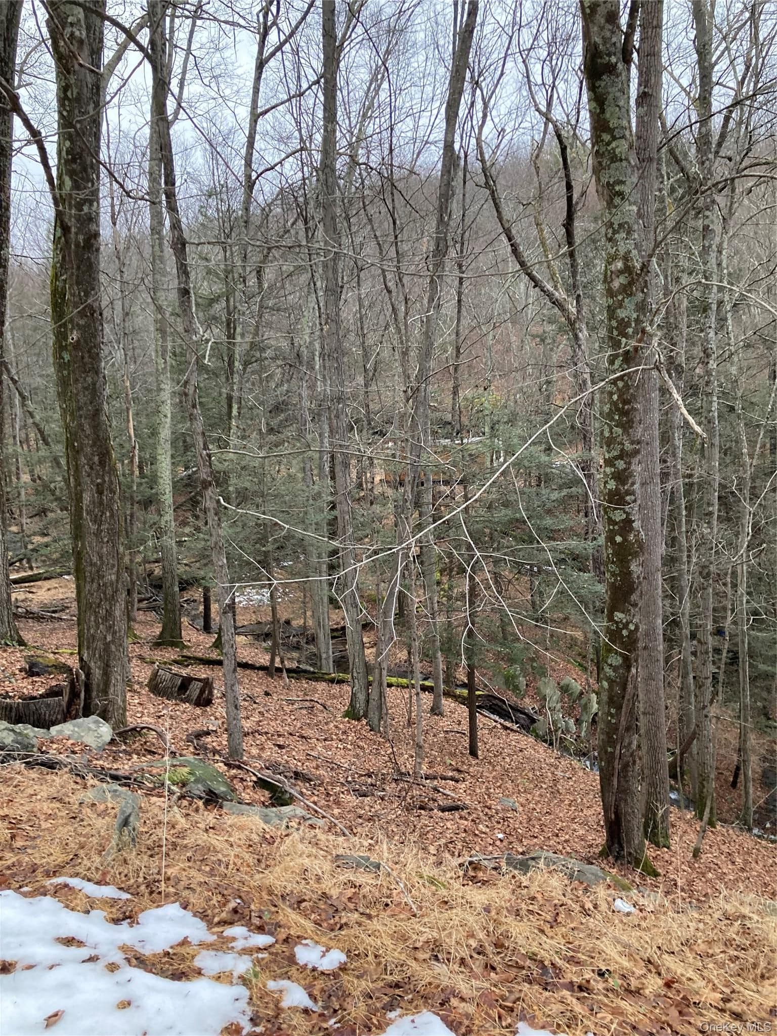 Red Hill Road thumbnail 5