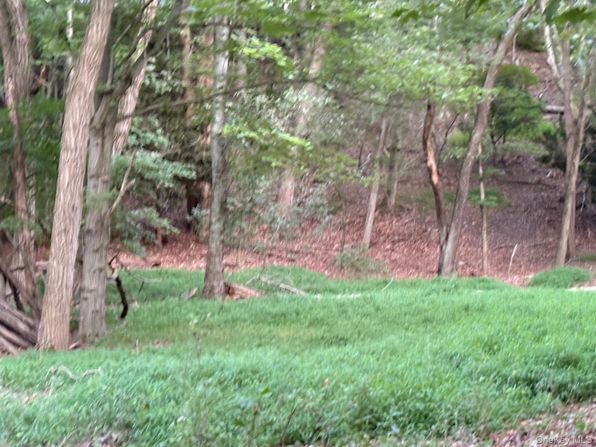 Dark Hollow Road thumbnail 4