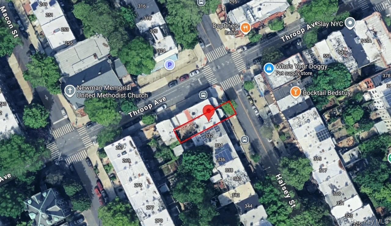 330 Halsey Street thumbnail 18