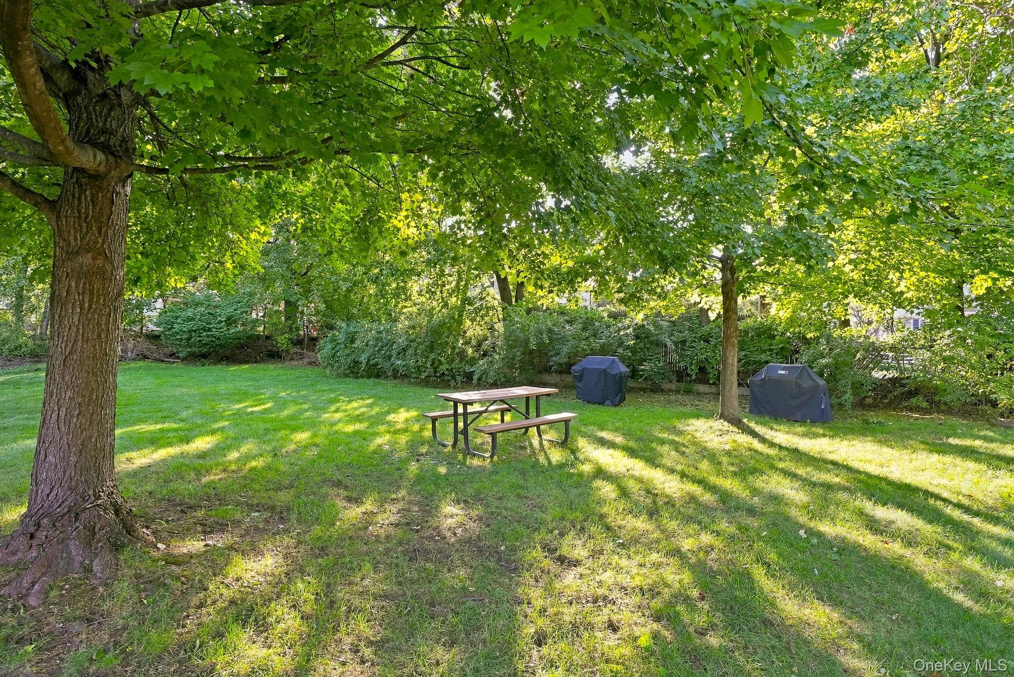 6 South Road Unit: 1V thumbnail 26