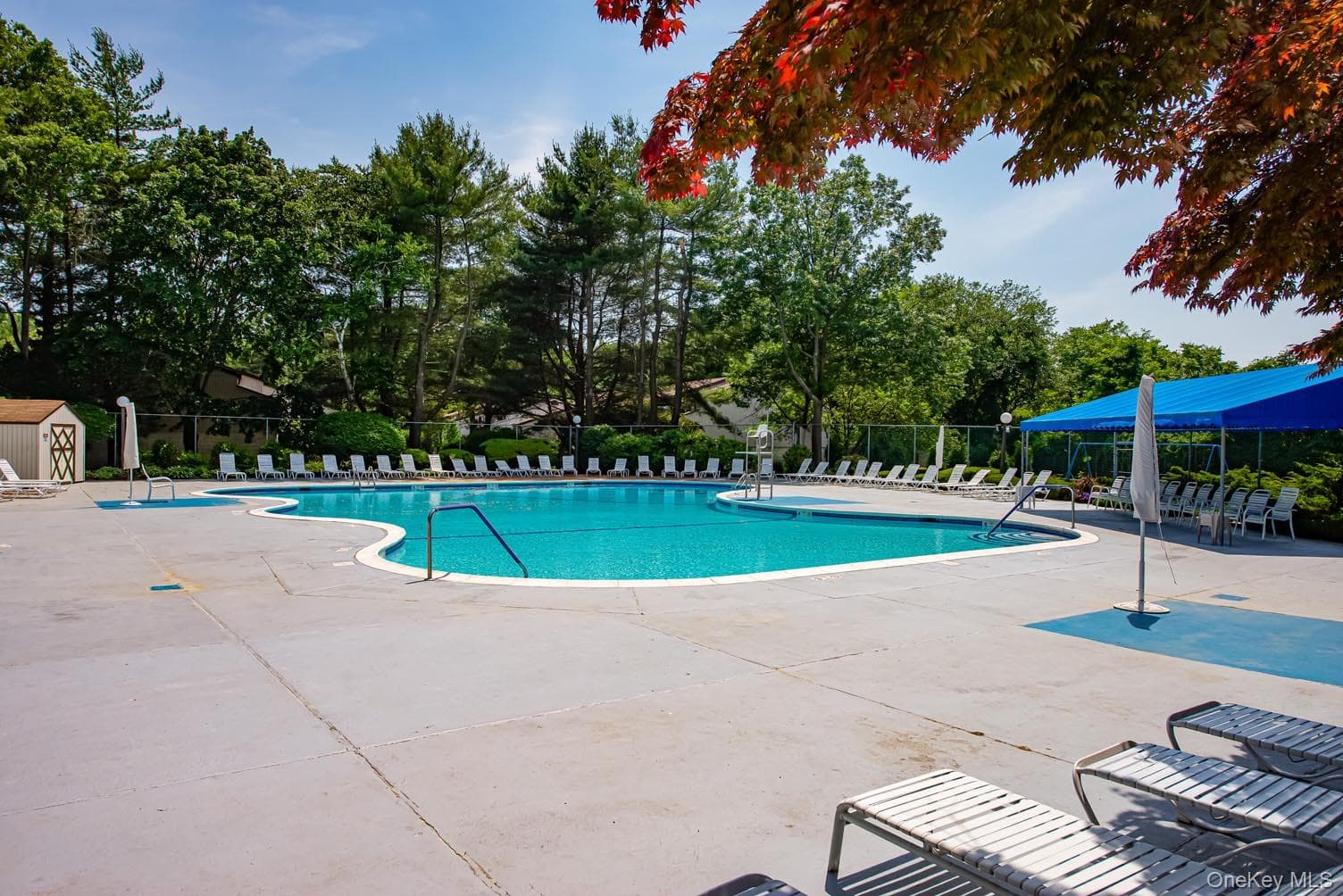 85 Richmond Boulevard Unit: 1A thumbnail 24
