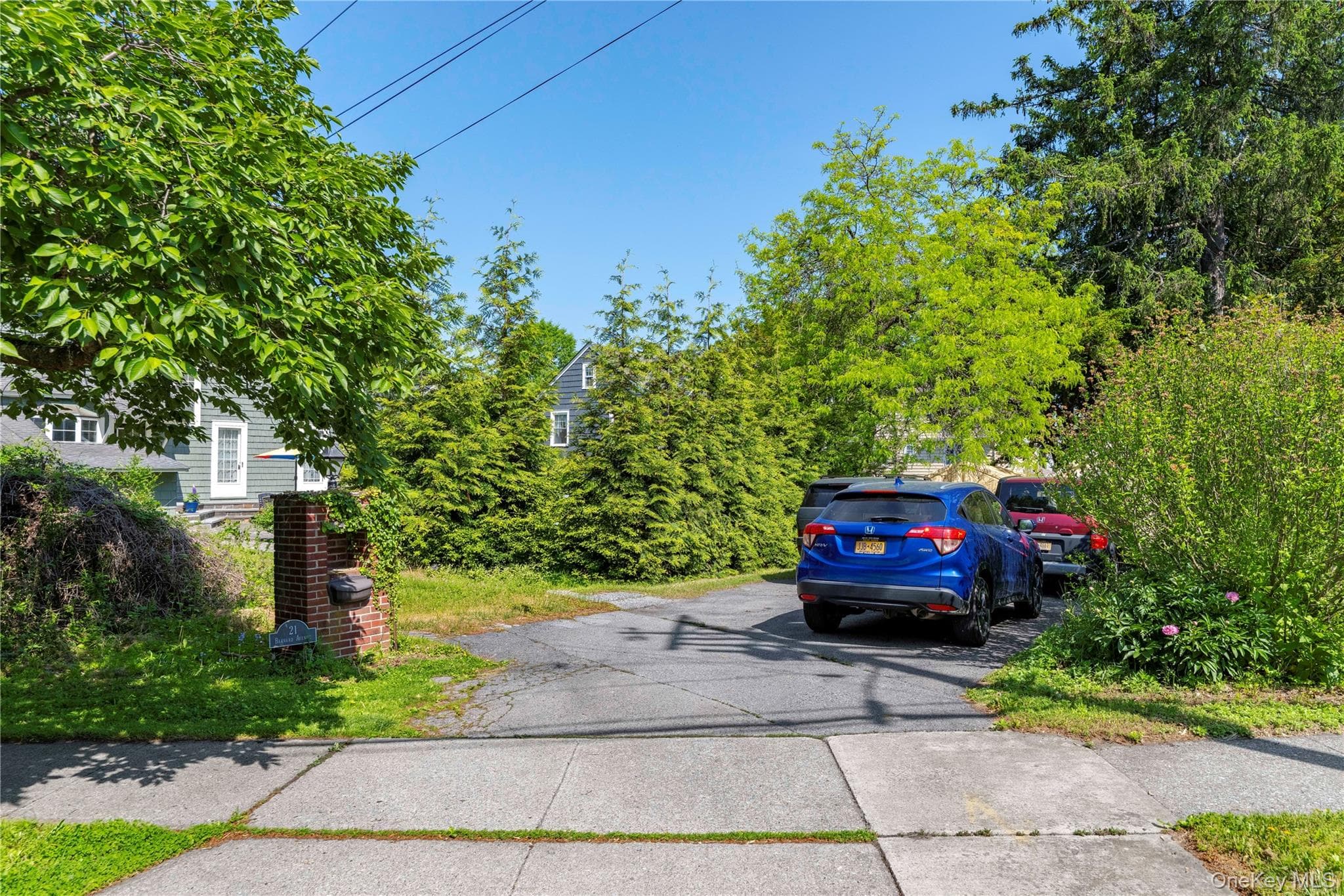 21 Barnard Avenue thumbnail 38