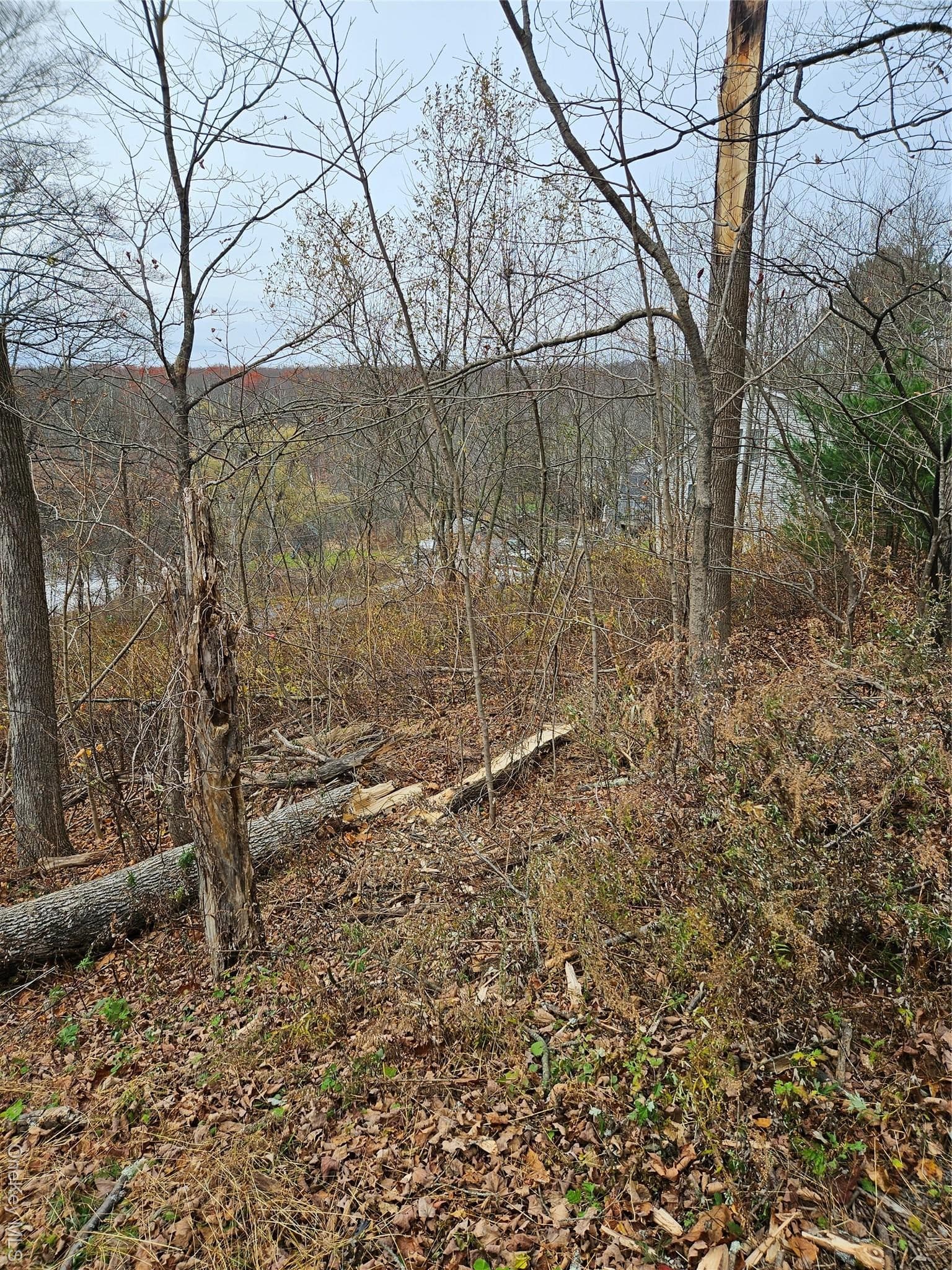 23 Gardner Drive photo 1