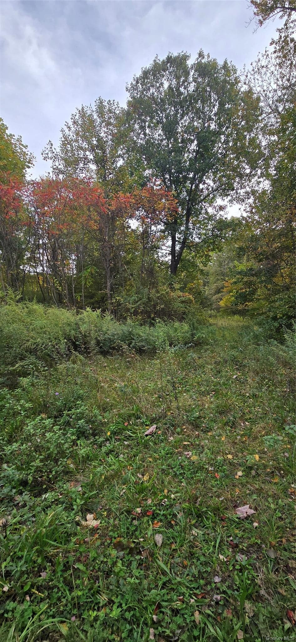 178 Tuckers Corners Road thumbnail 4