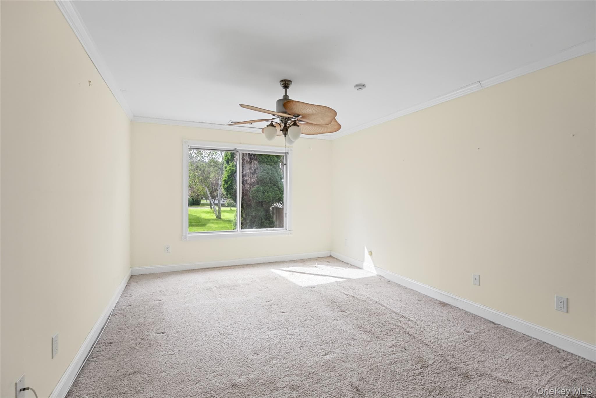 65 Eric Drive thumbnail 22