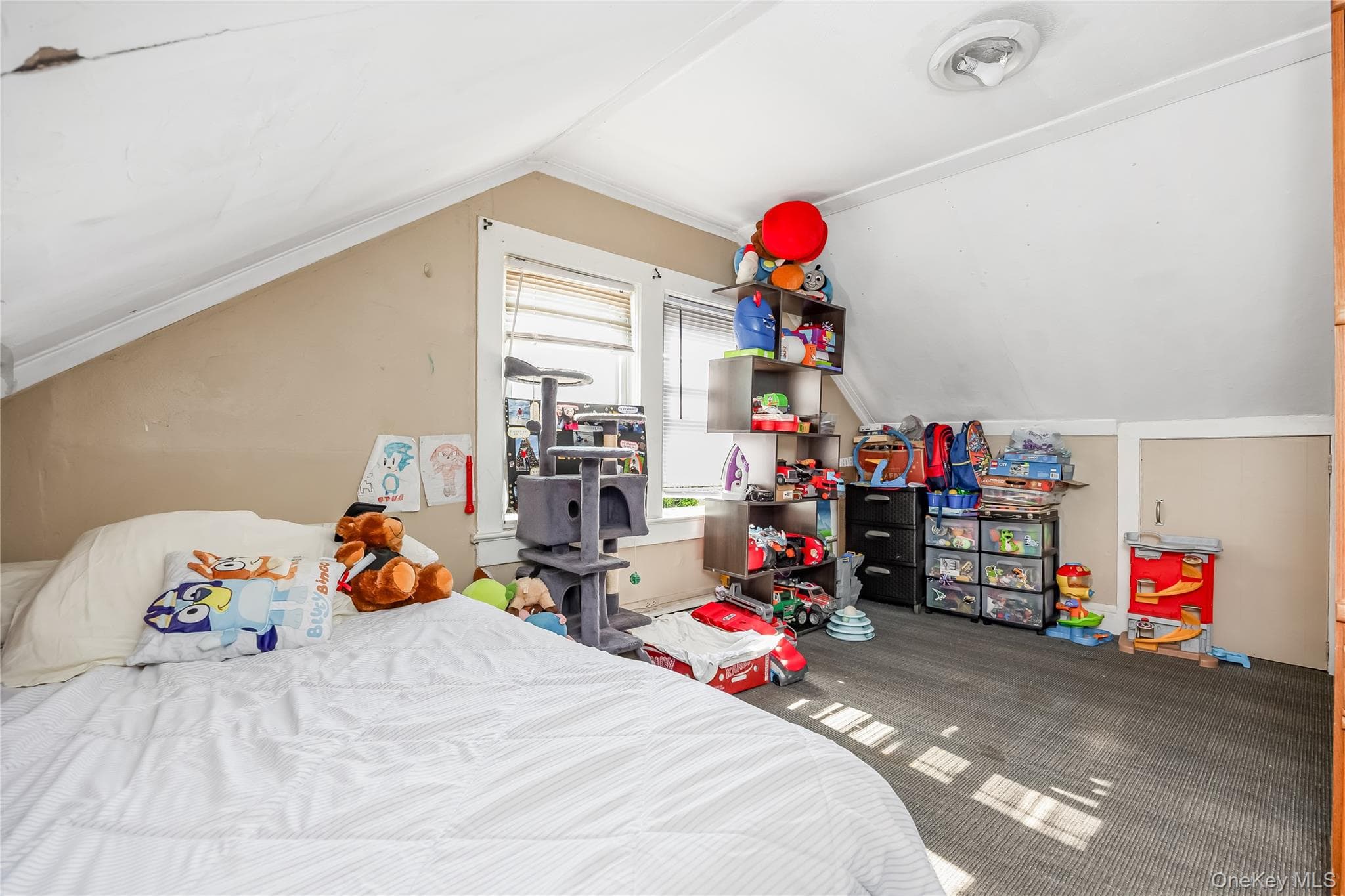 442 Cedar Street thumbnail 18