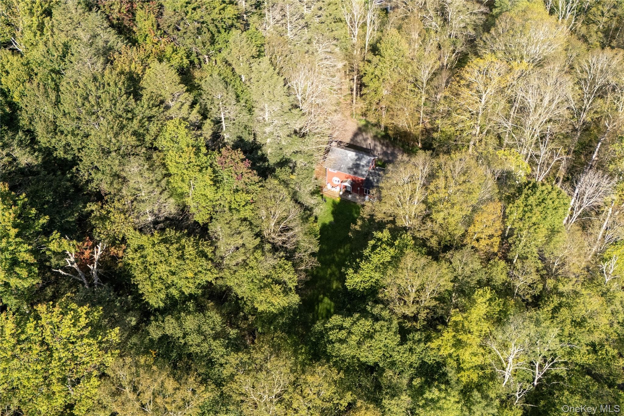 123 Maben Hollow Road thumbnail 25