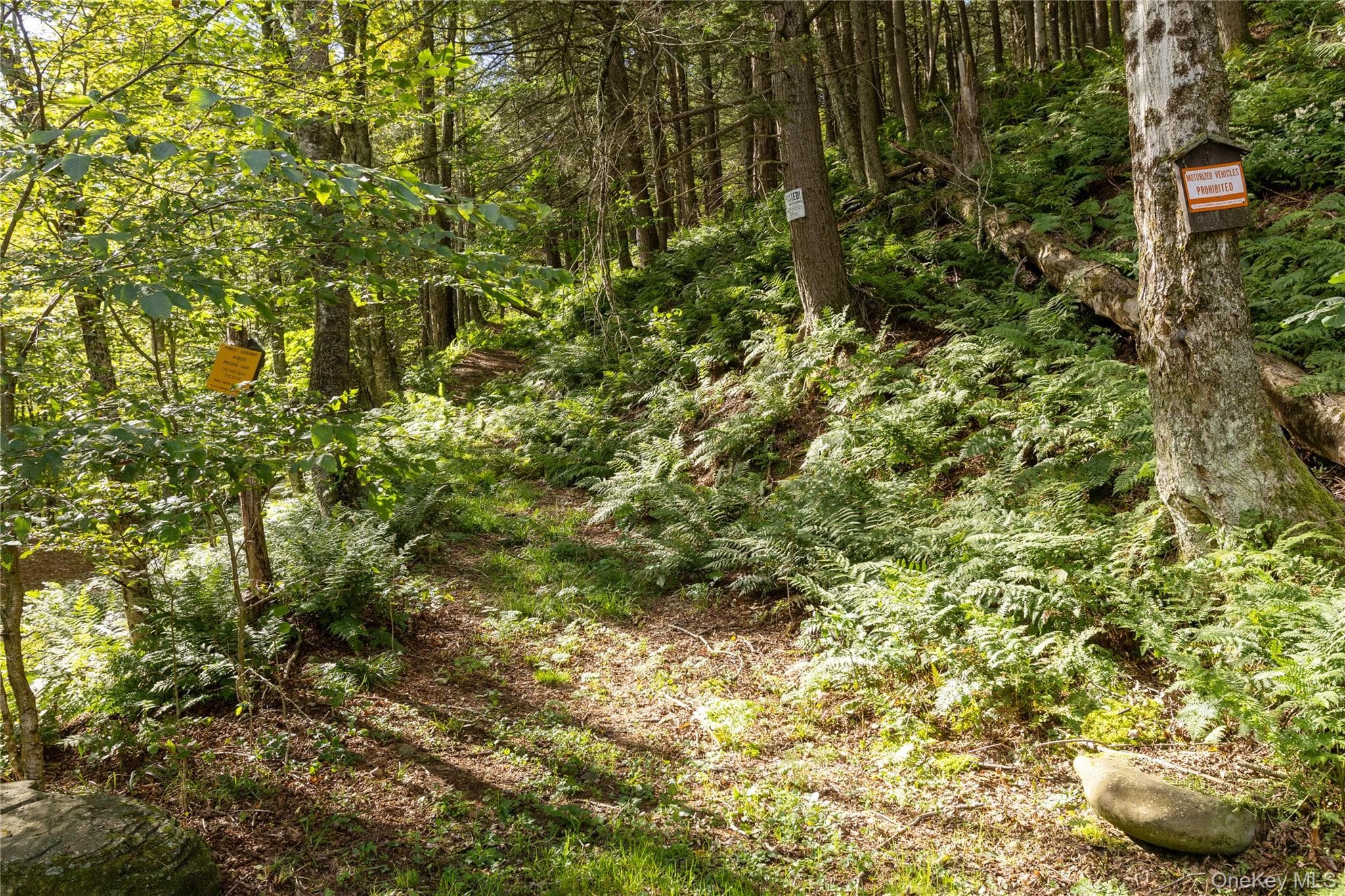 123 Maben Hollow Road thumbnail 16