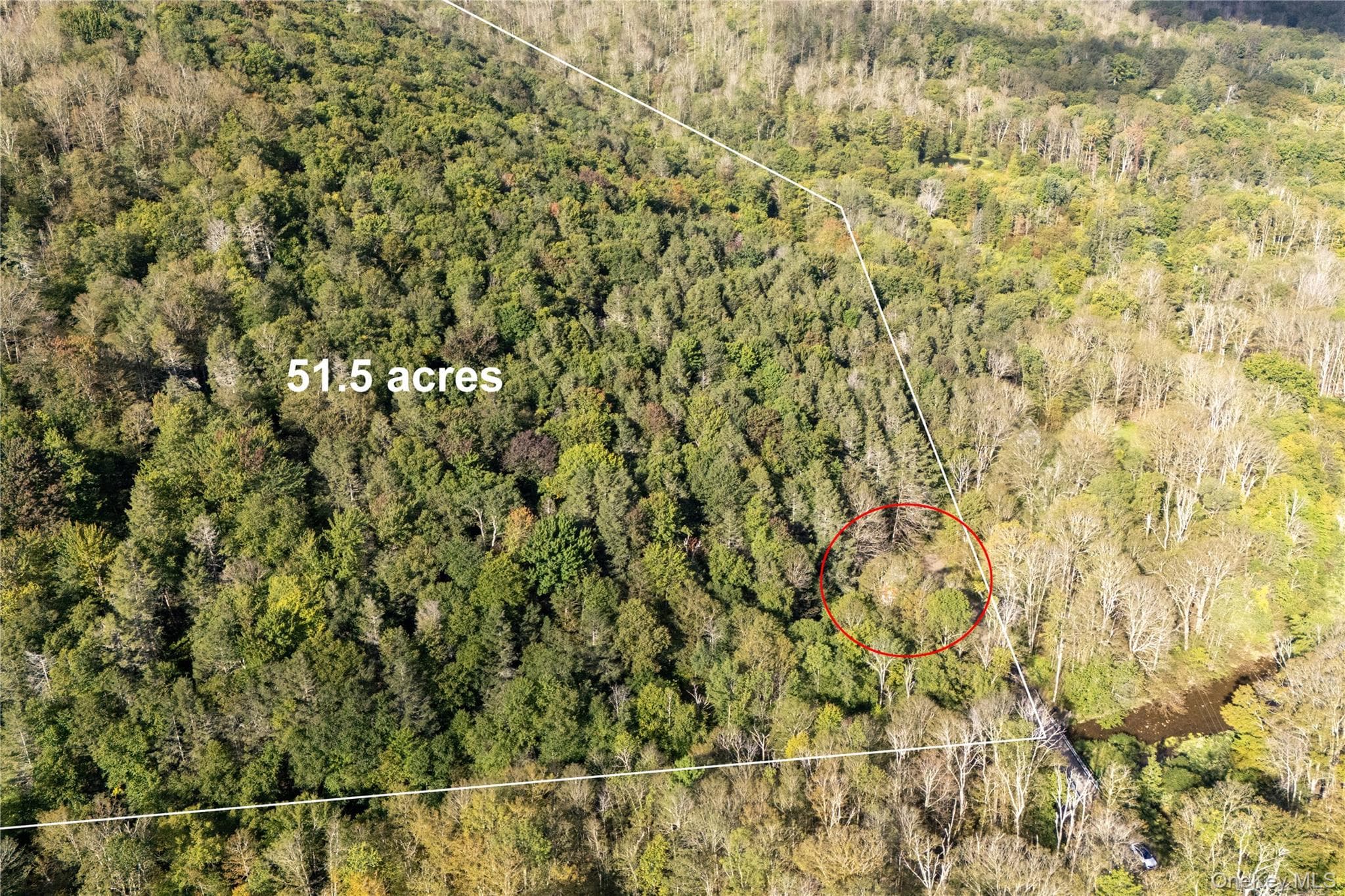 123 Maben Hollow Road thumbnail 26