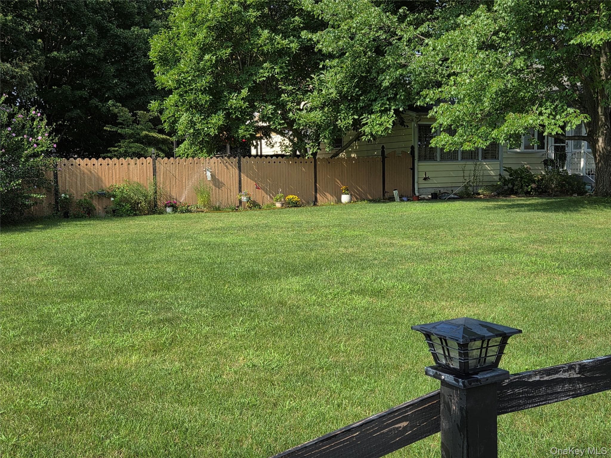 33 Elmwood Avenue thumbnail 5