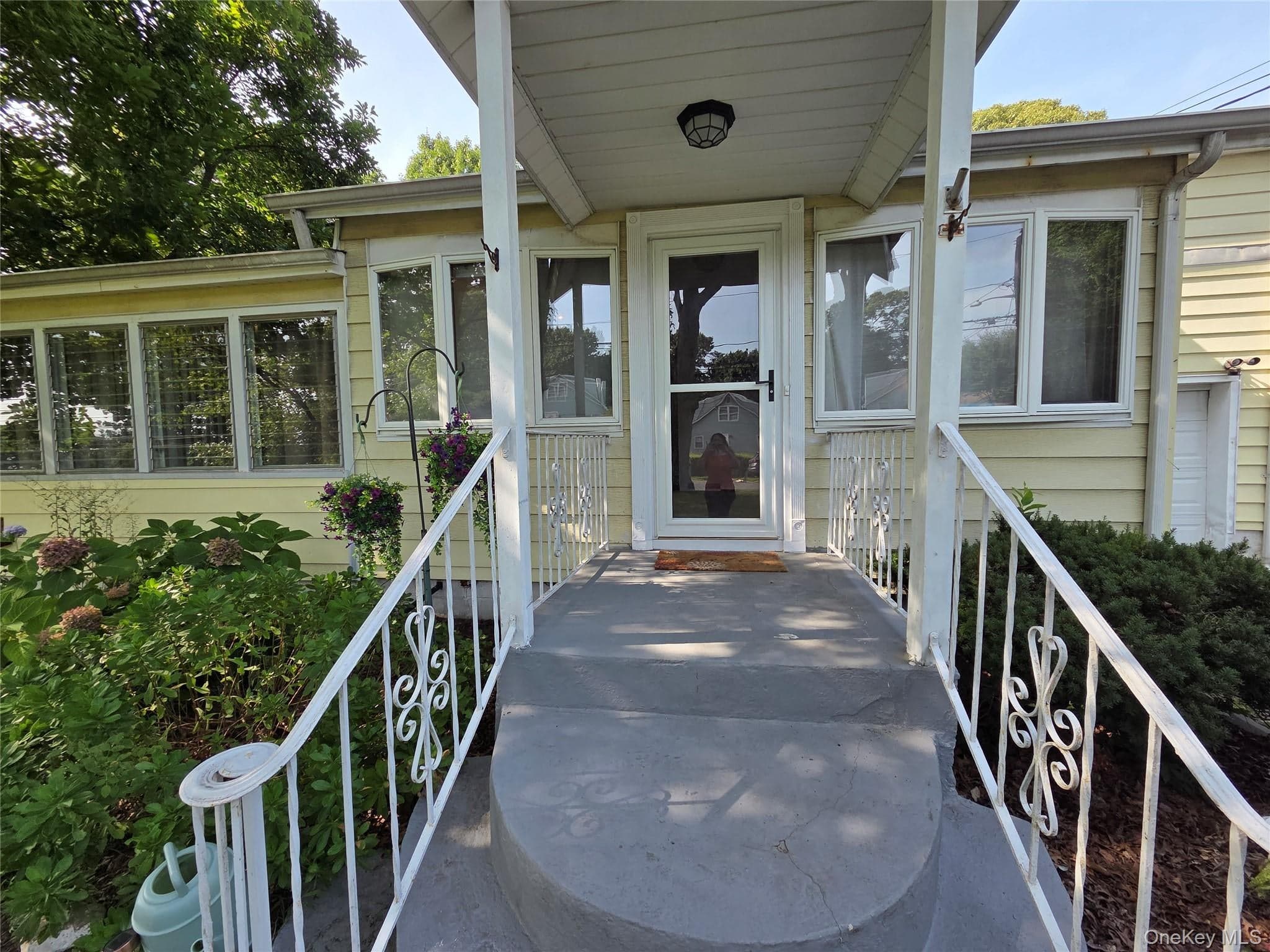 33 Elmwood Avenue thumbnail 8