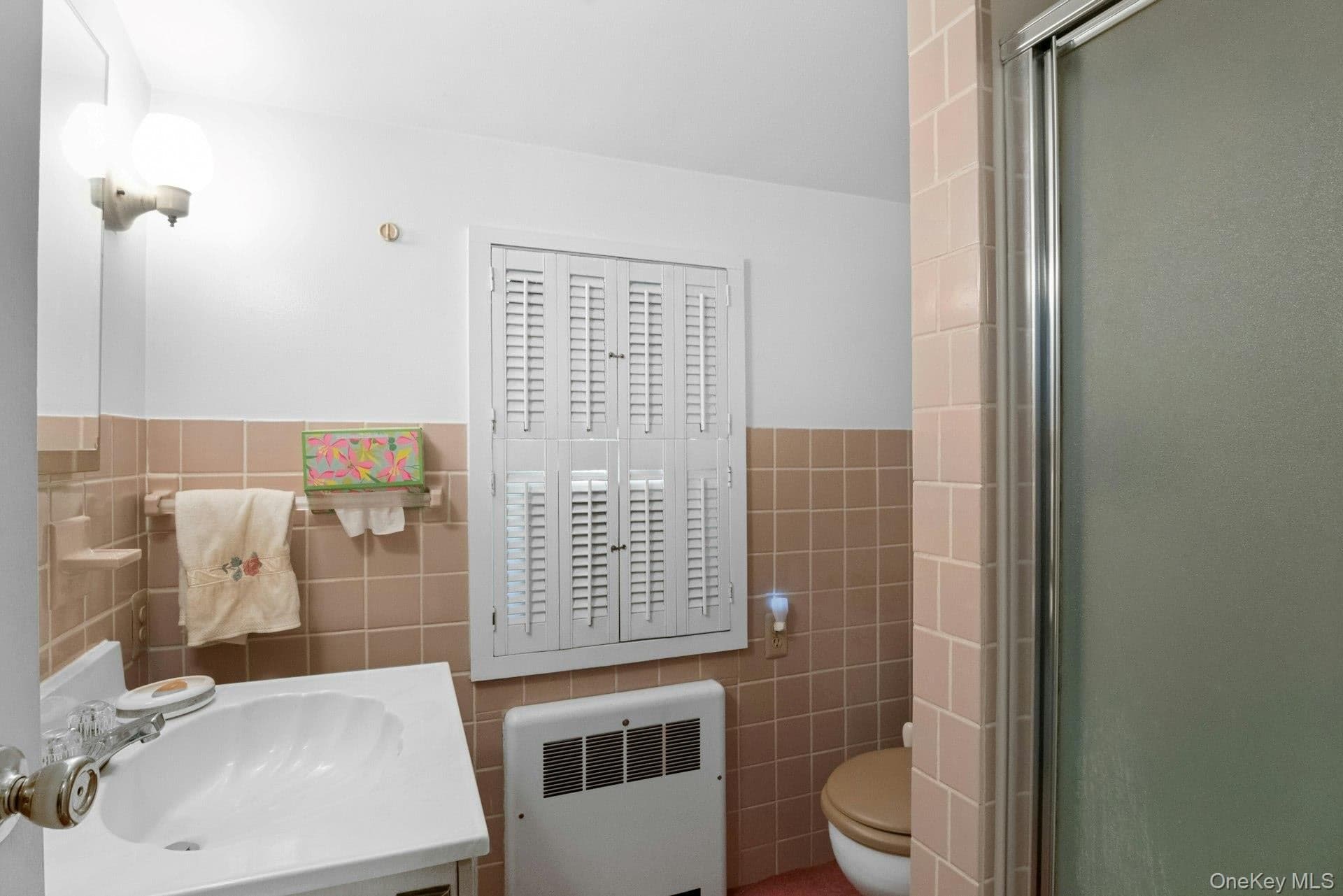 263 Pythian Avenue thumbnail 12