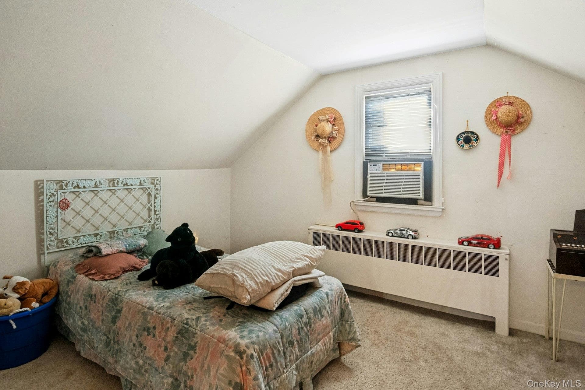 263 Pythian Avenue thumbnail 11