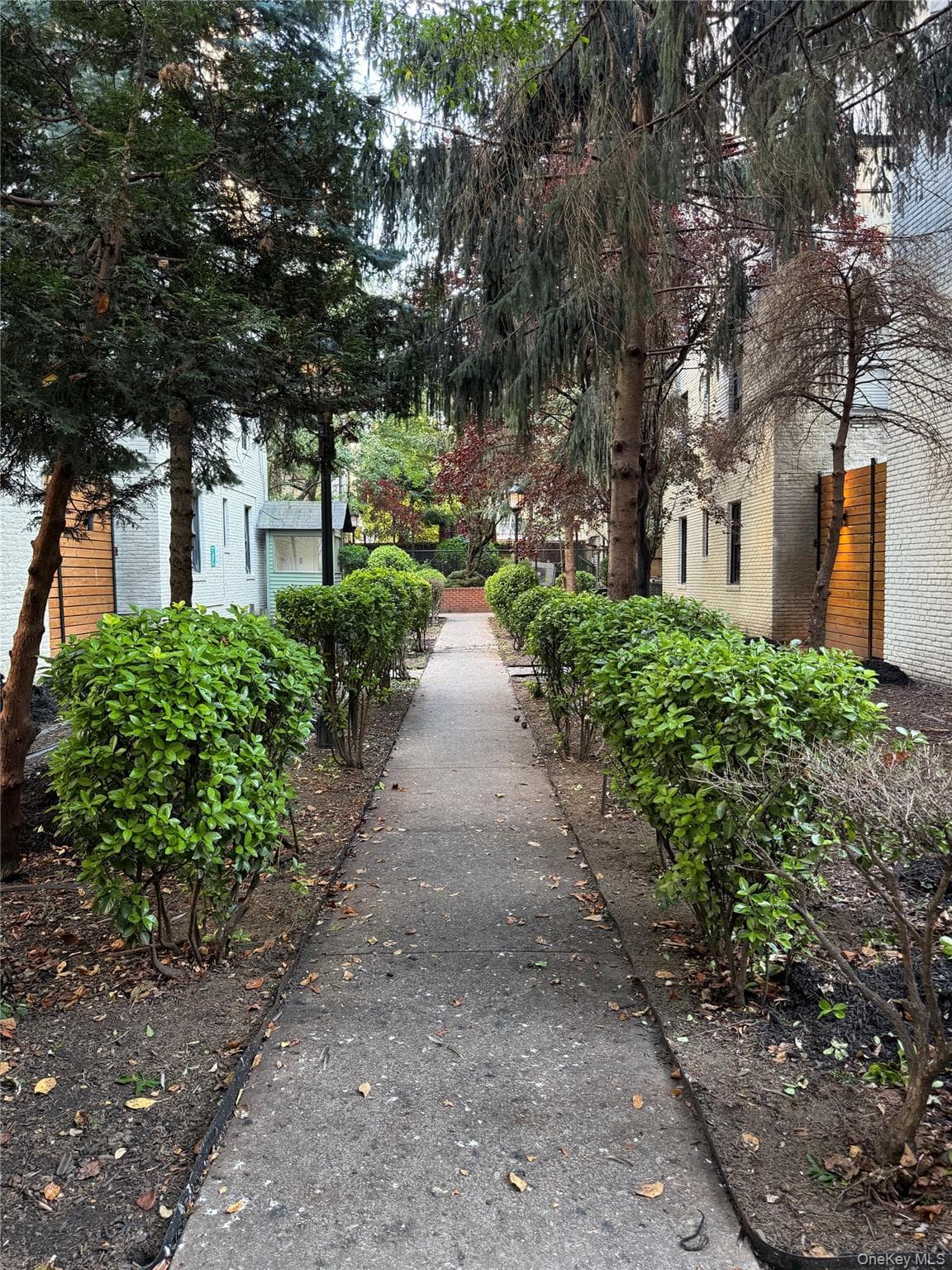 2167 33rd Street Unit: 3H thumbnail 11