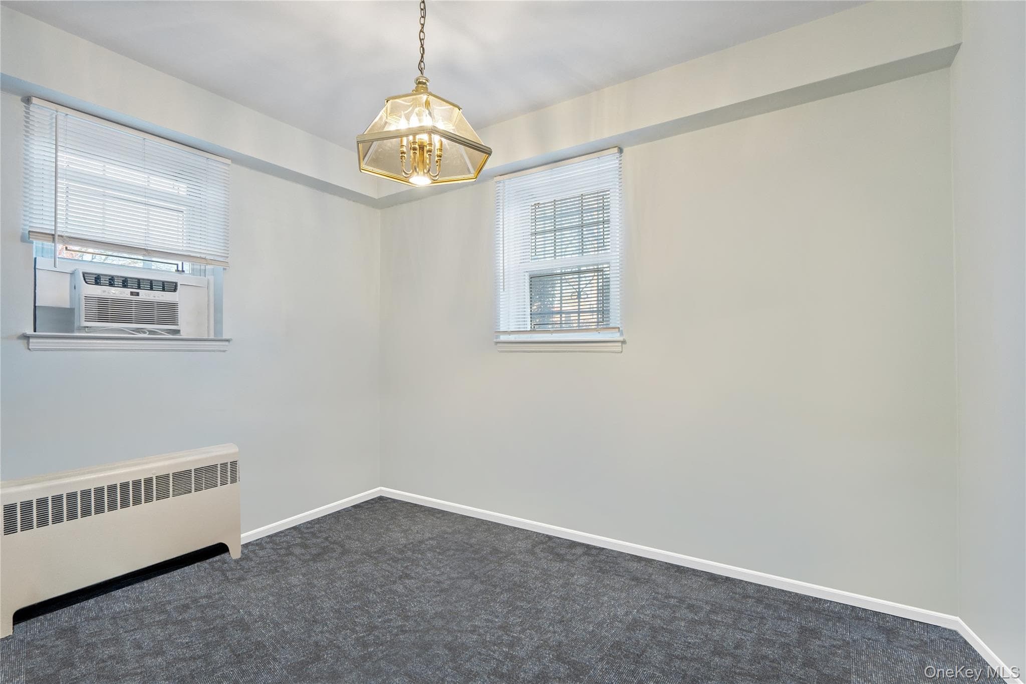 200 N Village Avenue Unit: 100 thumbnail 15