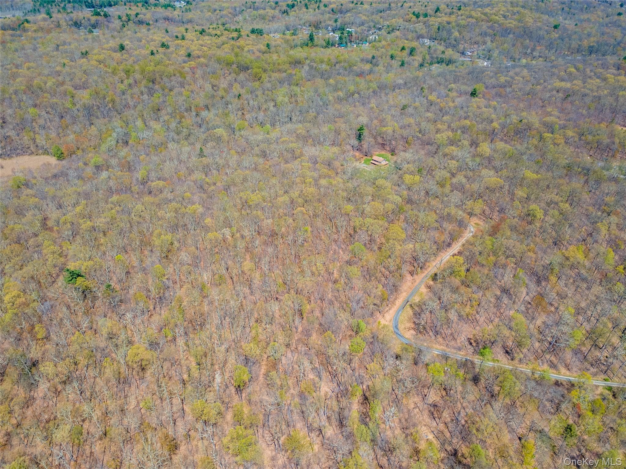 tbd Forest Glen Road thumbnail 10