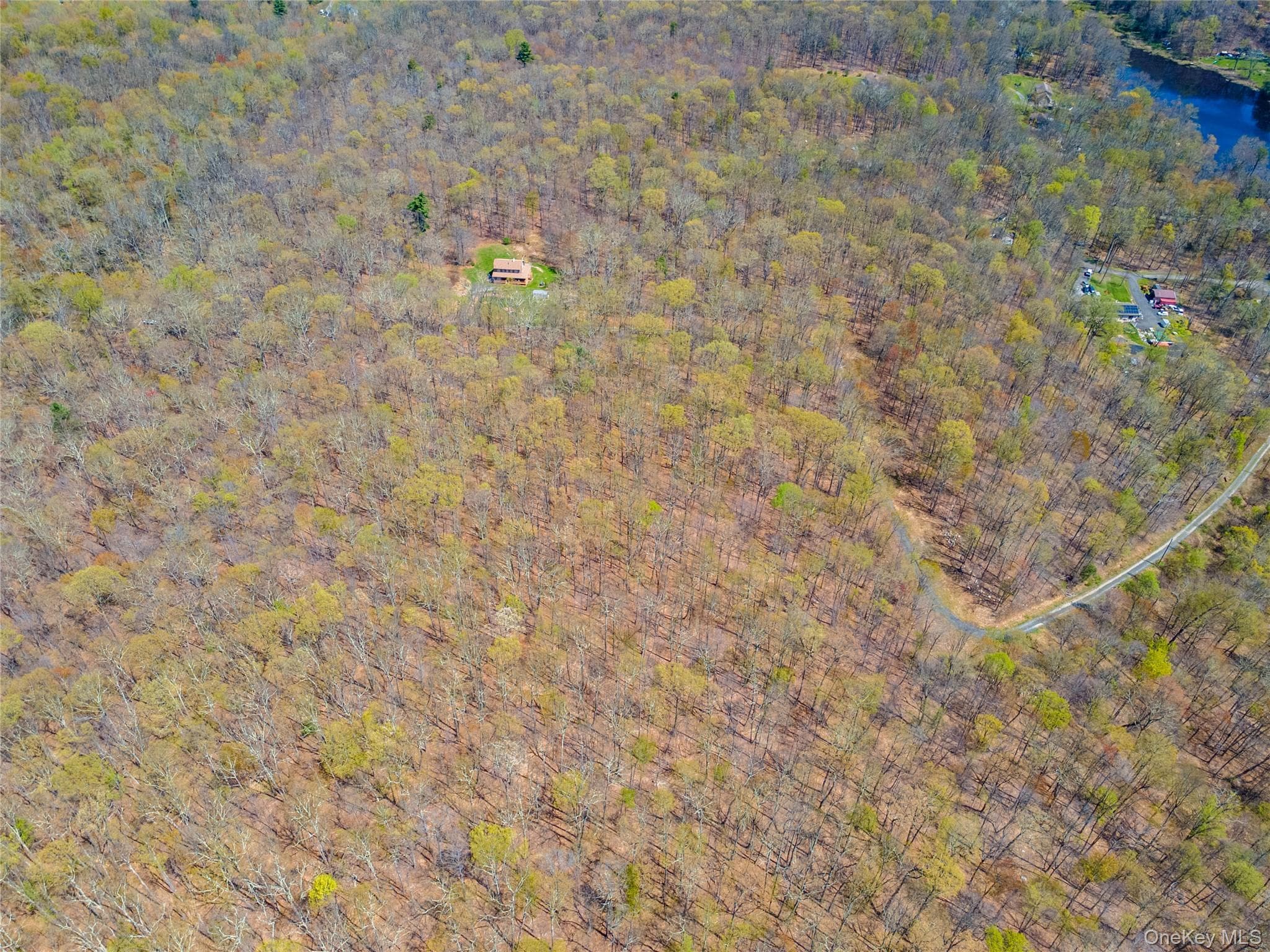 tbd Forest Glen Road thumbnail 8