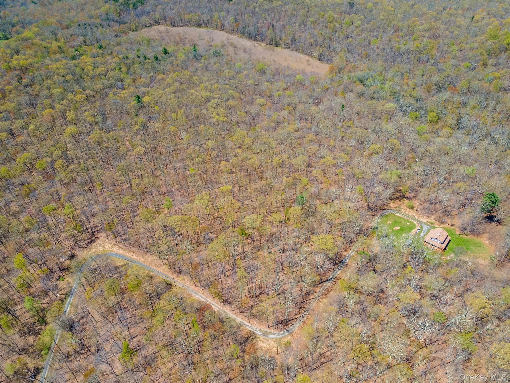 tbd Forest Glen Road thumbnail 5