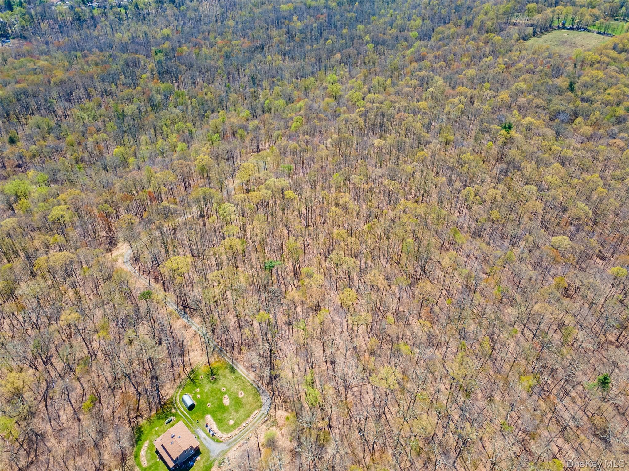 tbd Forest Glen Road thumbnail 7