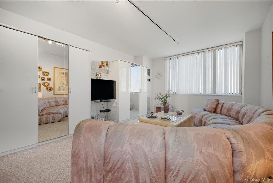 27010 Grand Central Parkway Unit: 21M thumbnail 5