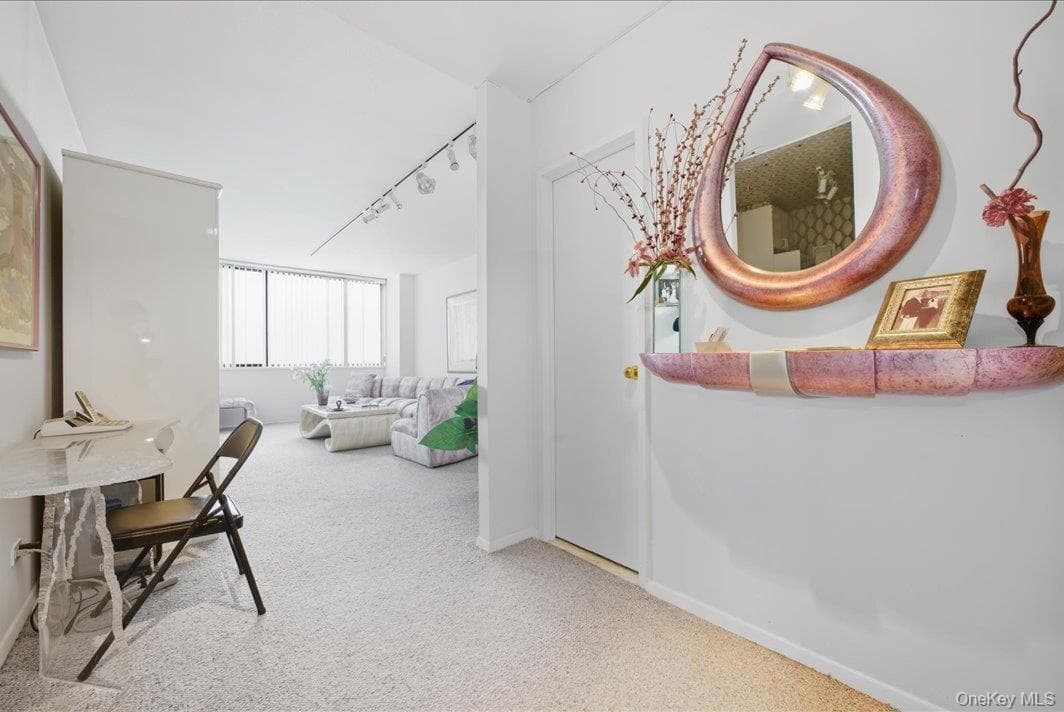 27010 Grand Central Parkway Unit: 21M thumbnail 2