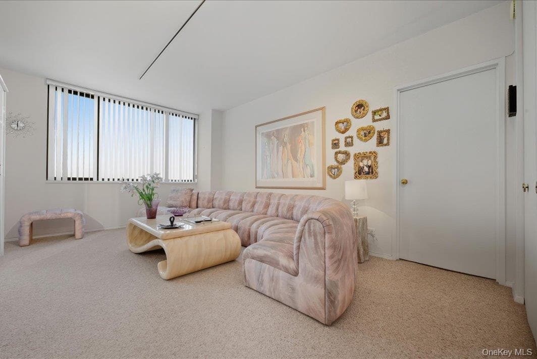 27010 Grand Central Parkway Unit: 21M thumbnail 3