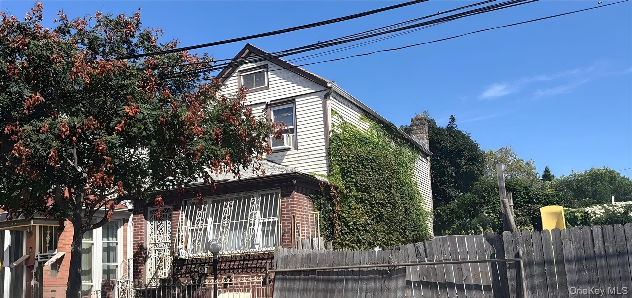 537 E 39th Street thumbnail 4