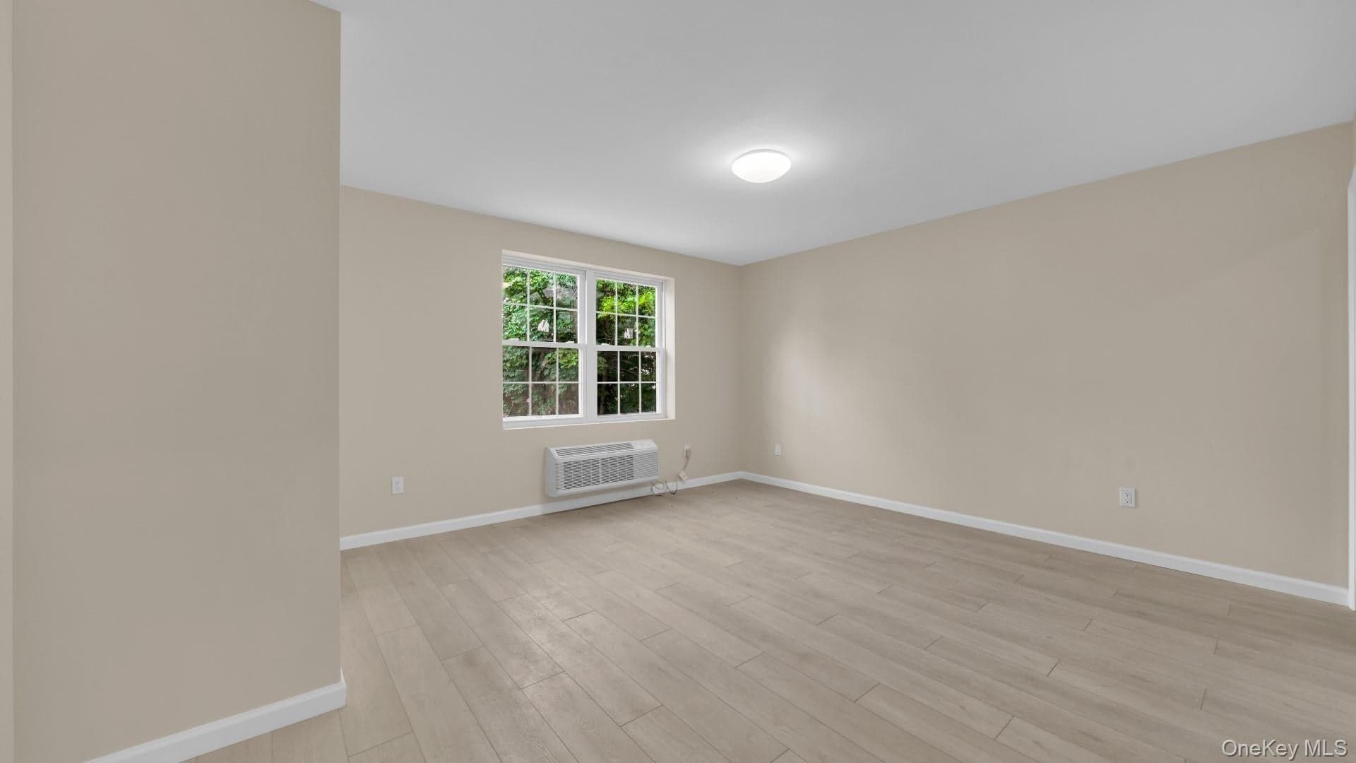 957 E 229th Street thumbnail 19