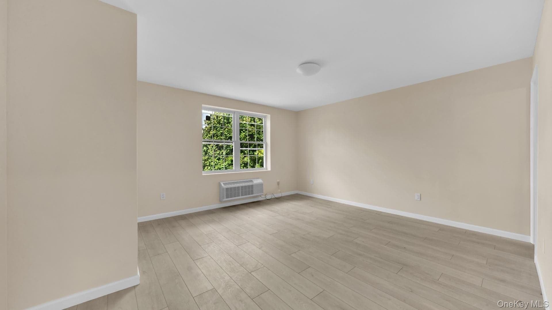 957 E 229th Street thumbnail 29
