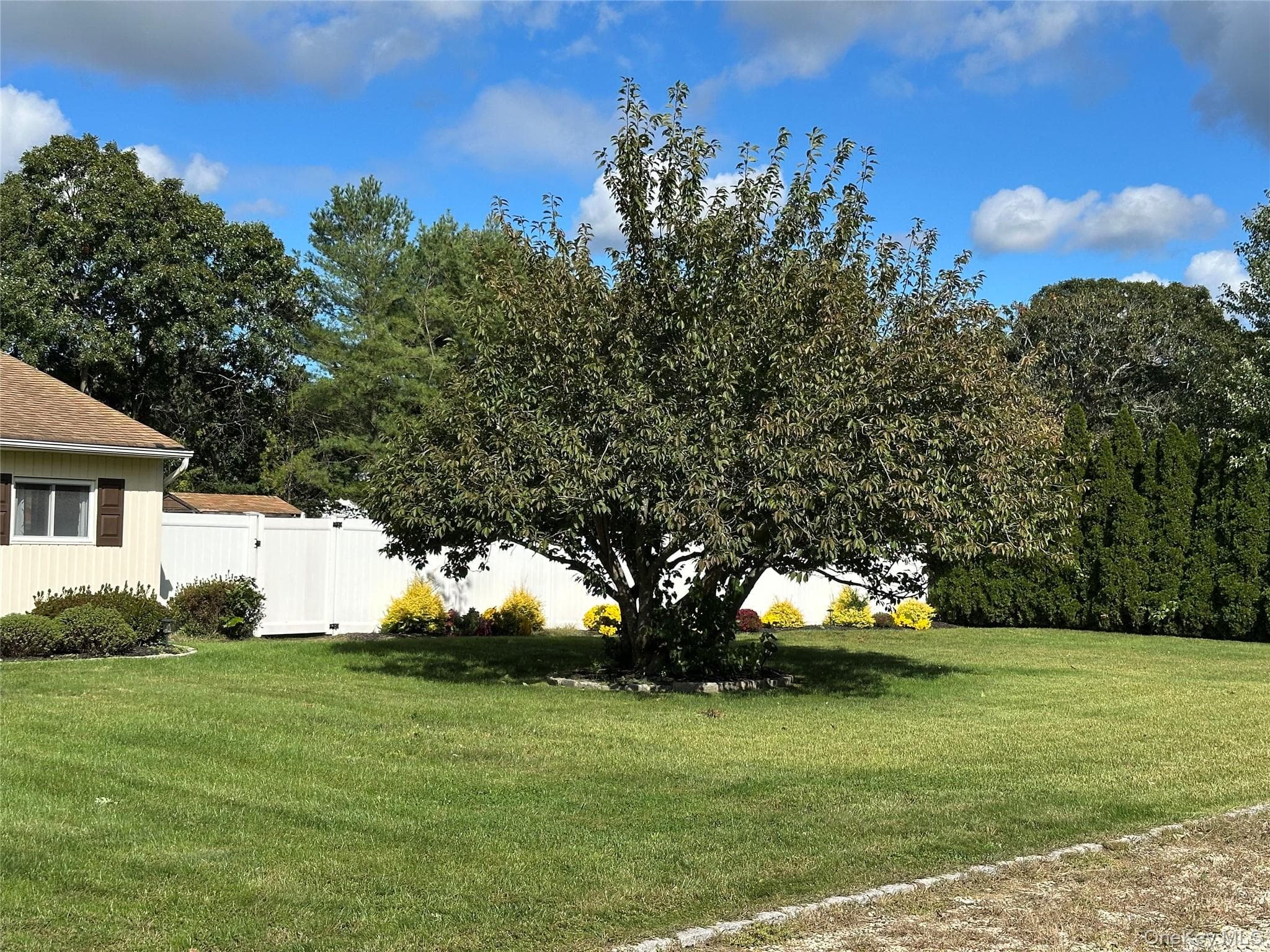 161 Hawkins Road thumbnail 3