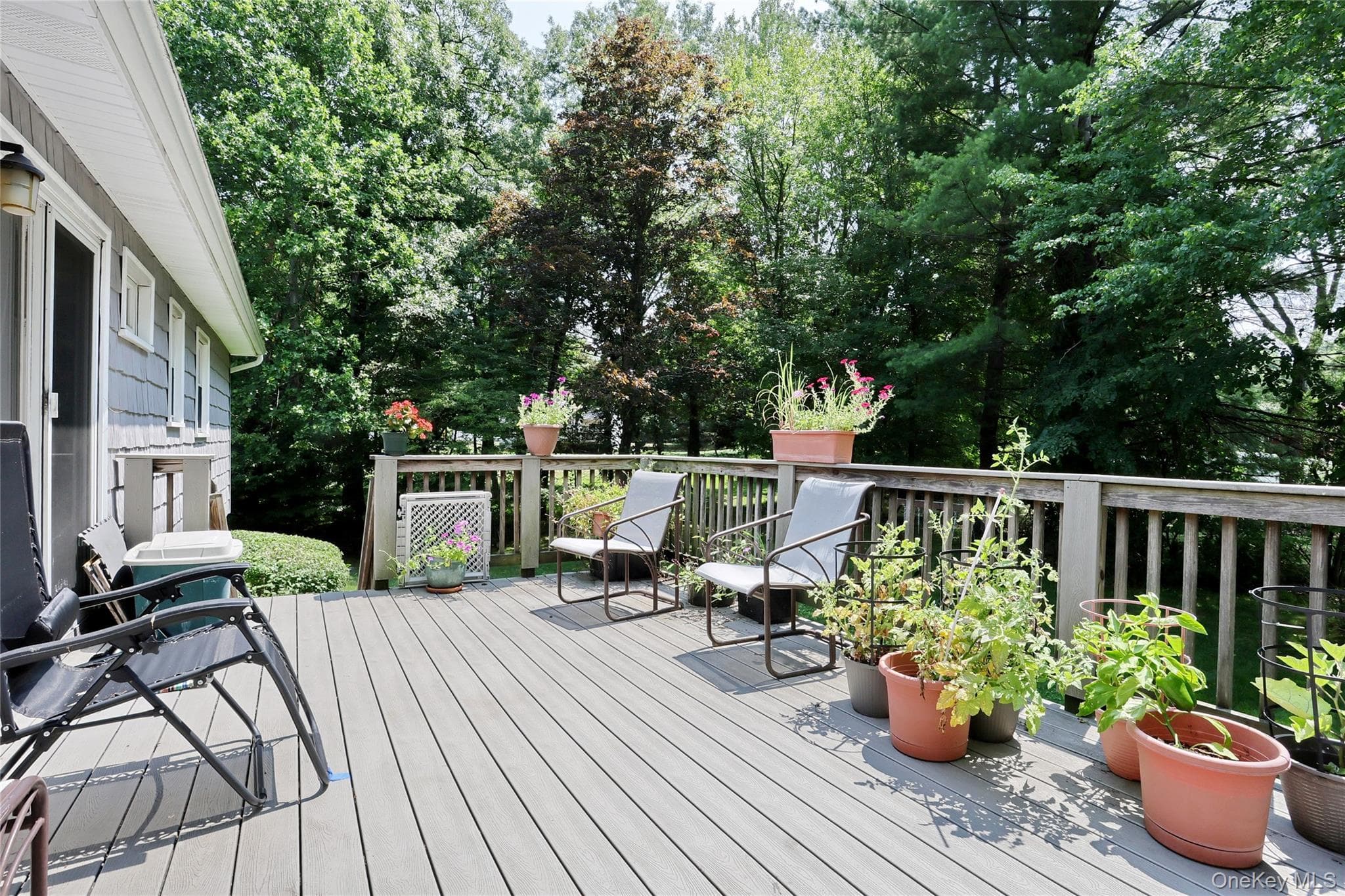 33 Tor View Avenue thumbnail 22