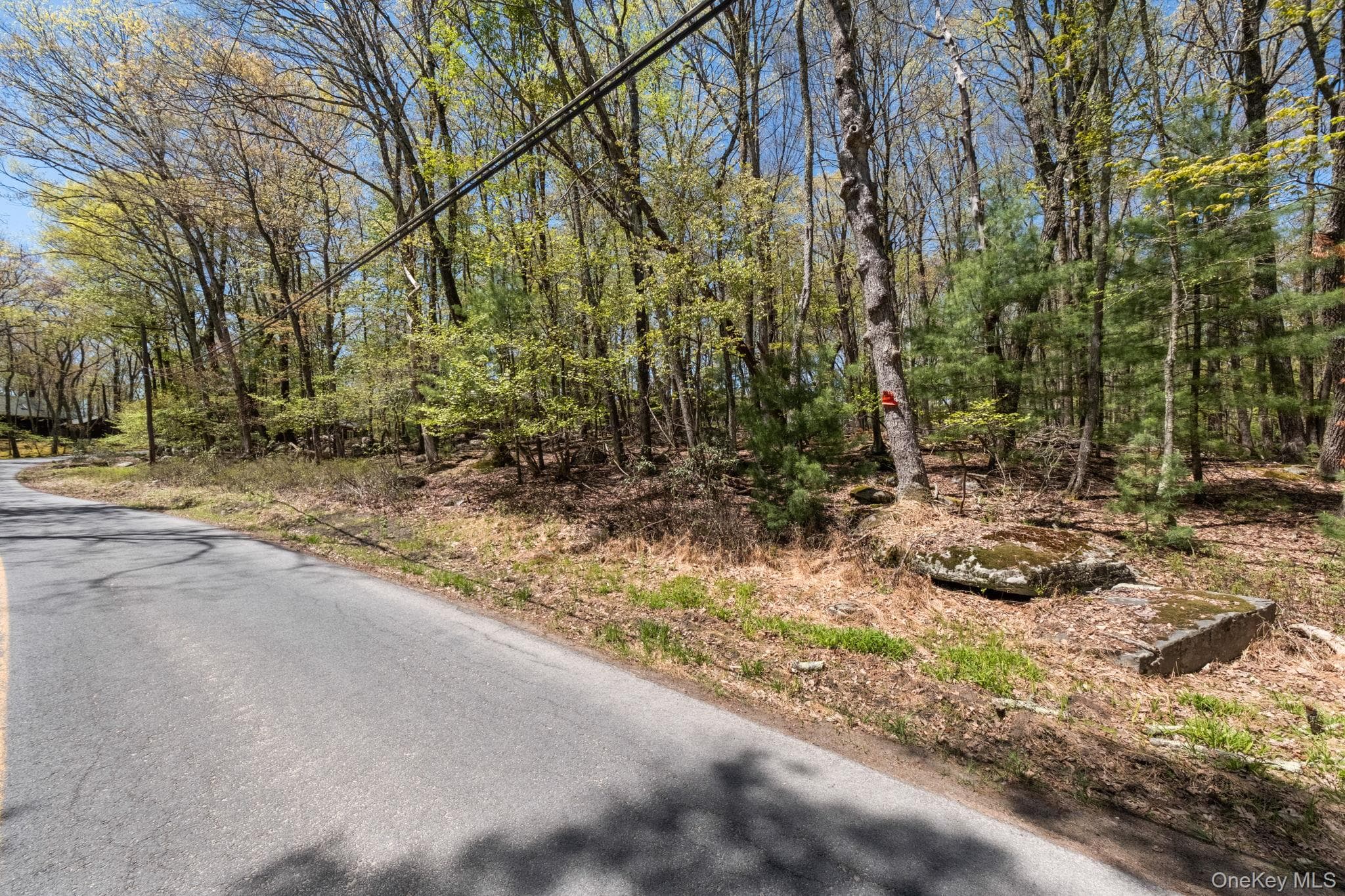 Wolf Pond Road thumbnail 10