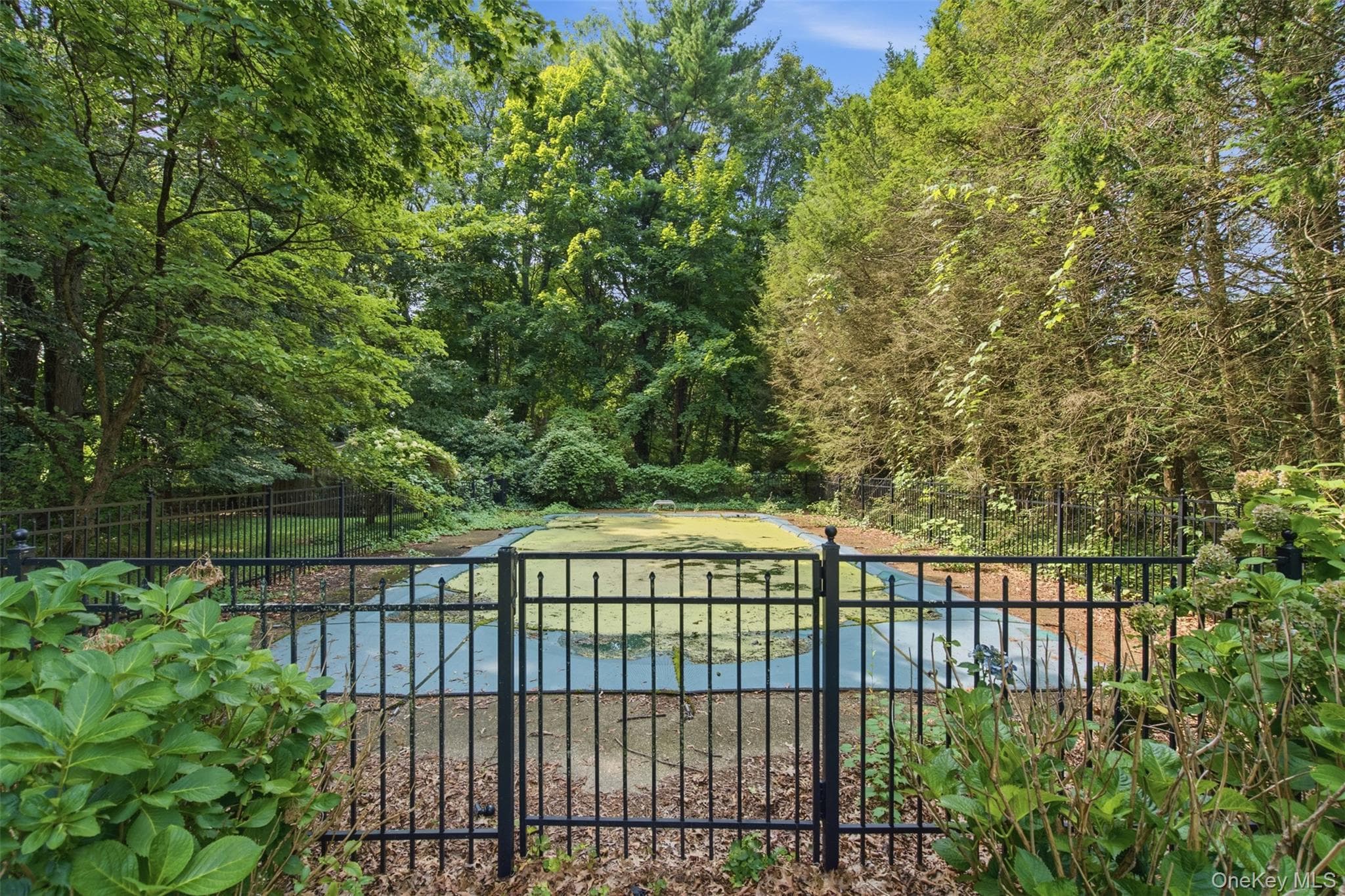 897 Ripley Lane thumbnail 37