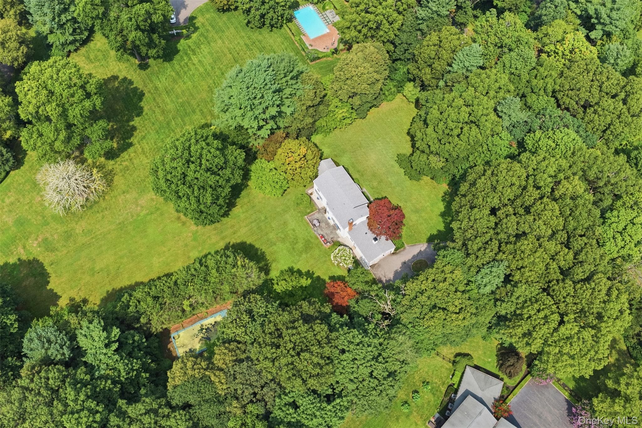 897 Ripley Lane thumbnail 45