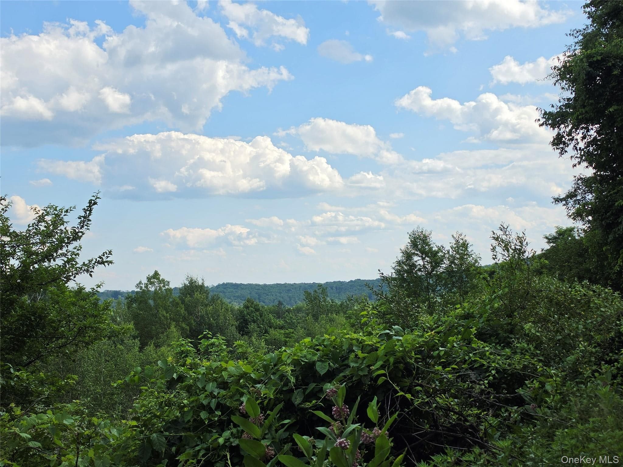 TBD Timberwolf Road thumbnail 12