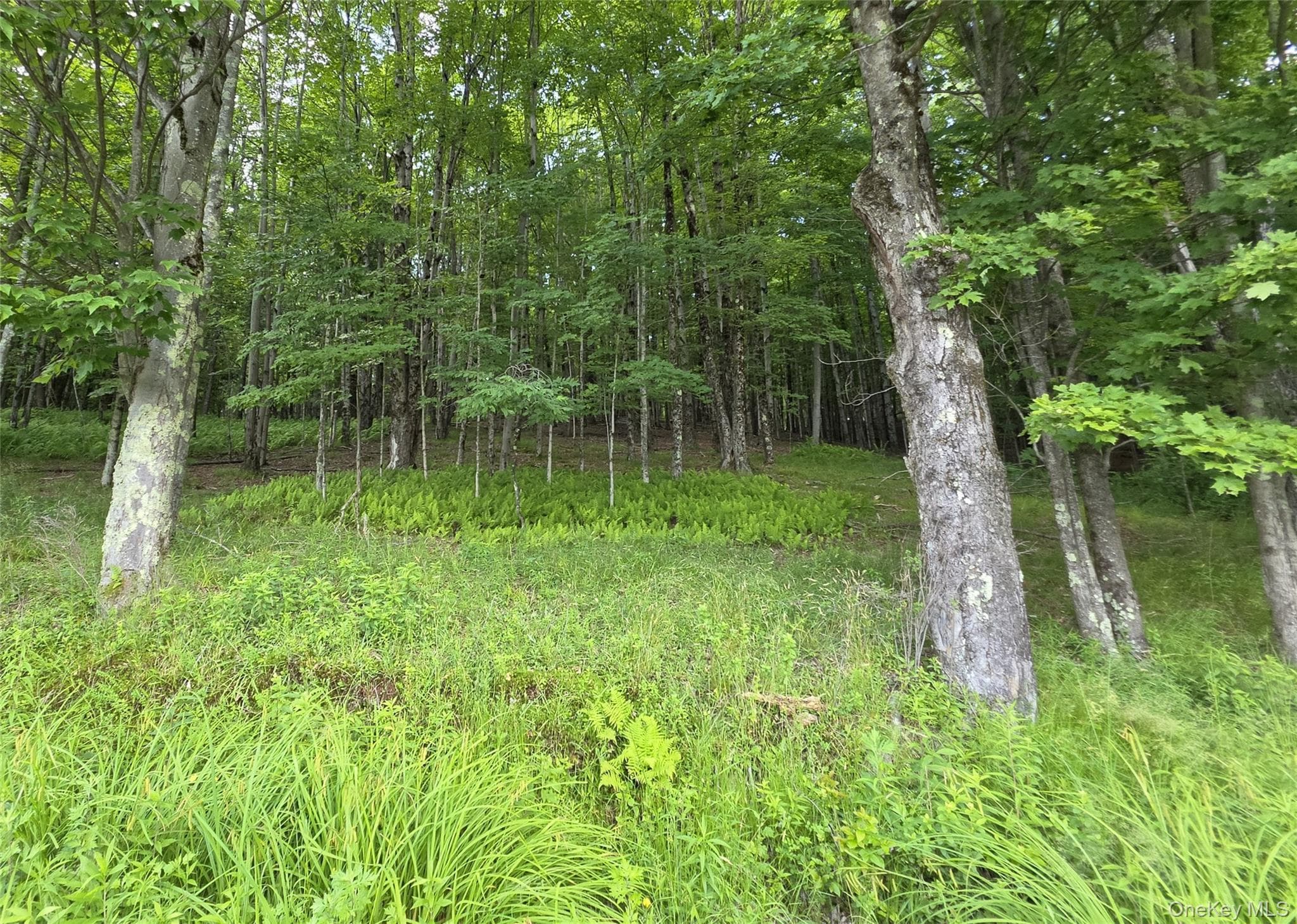 TBD Timberwolf Road thumbnail 21