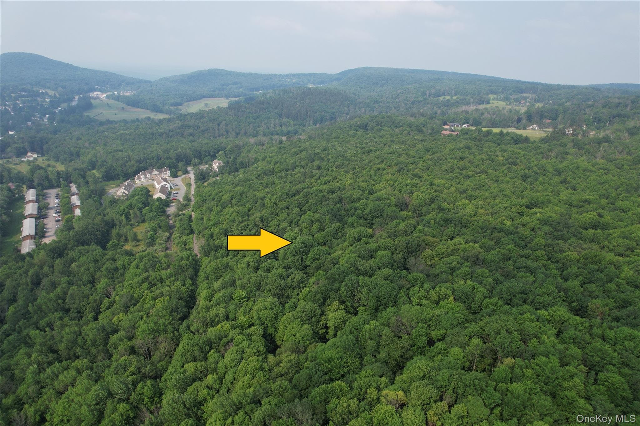 TBD Timberwolf Road thumbnail 18