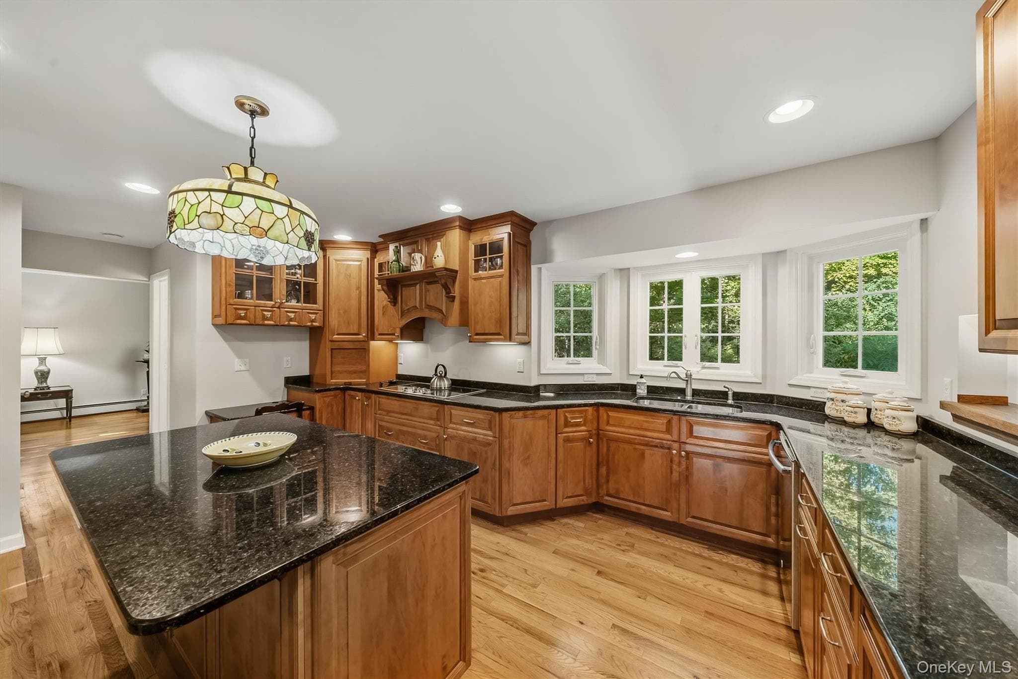 123 Pickerel Road thumbnail 3