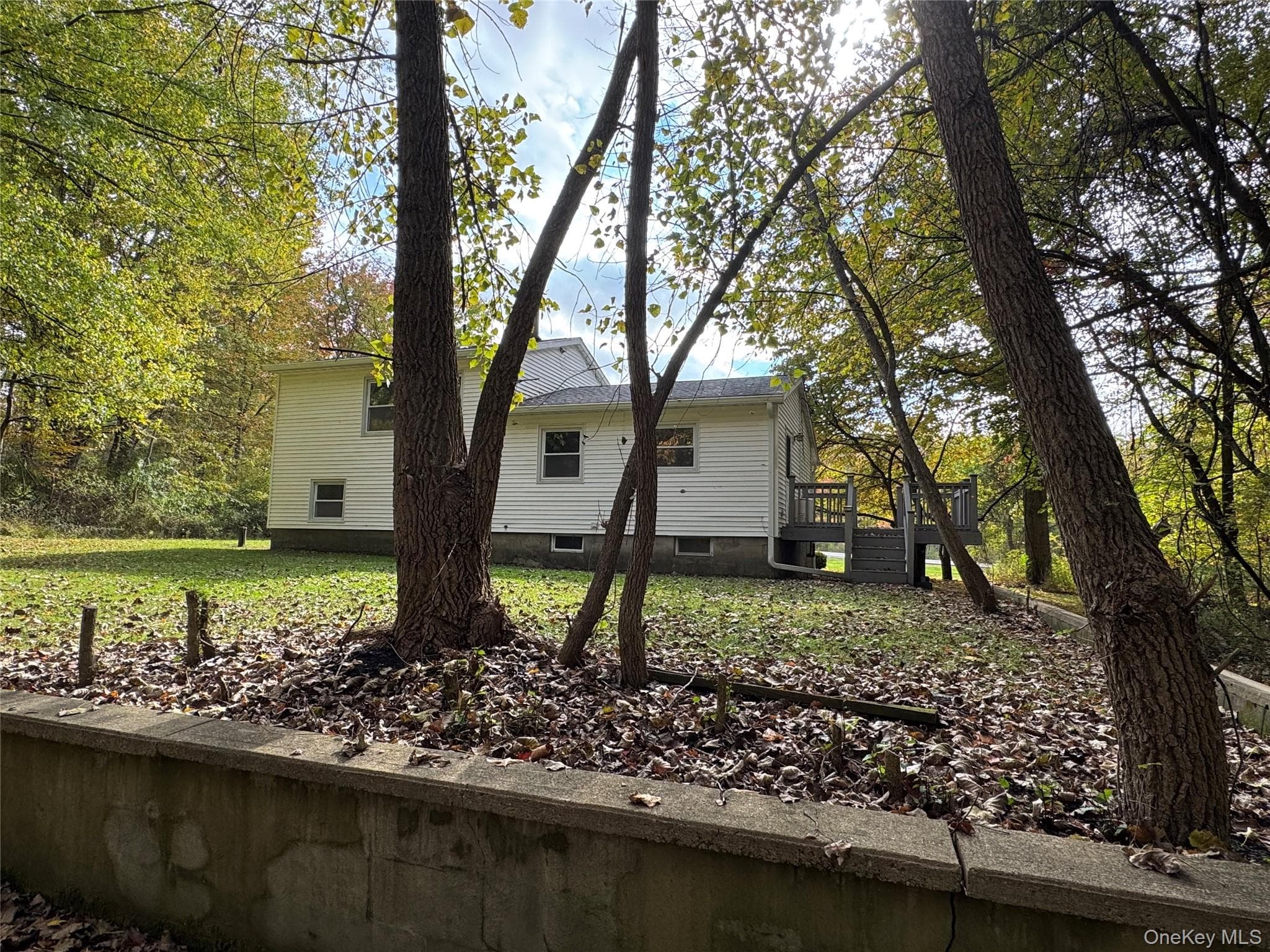 49 Jansen Road thumbnail 19