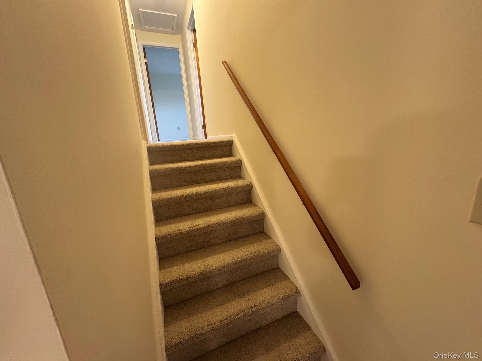 49 Jansen Road thumbnail 9